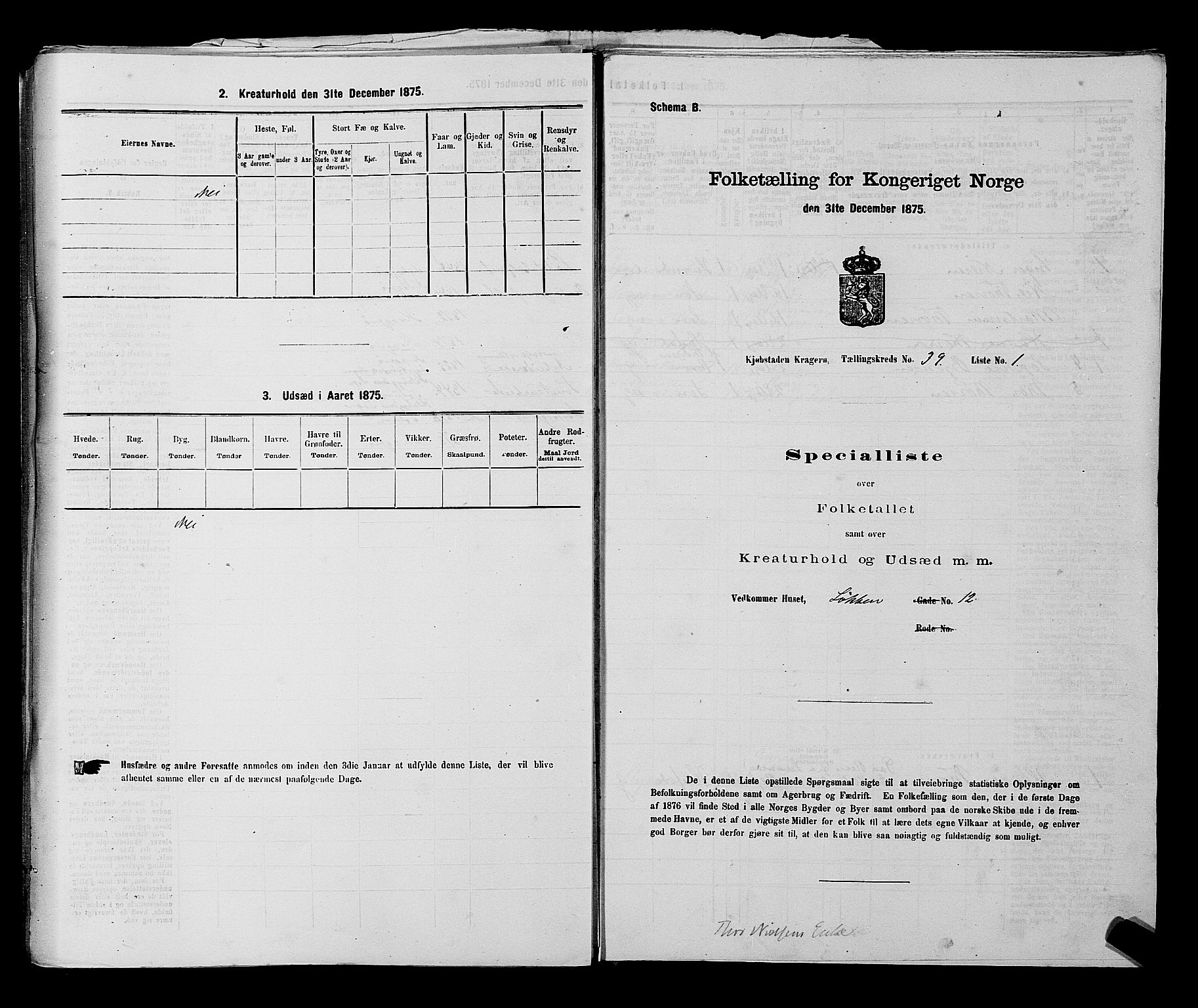 SAKO, 1875 census for 0801P Kragerø, 1875, p. 847