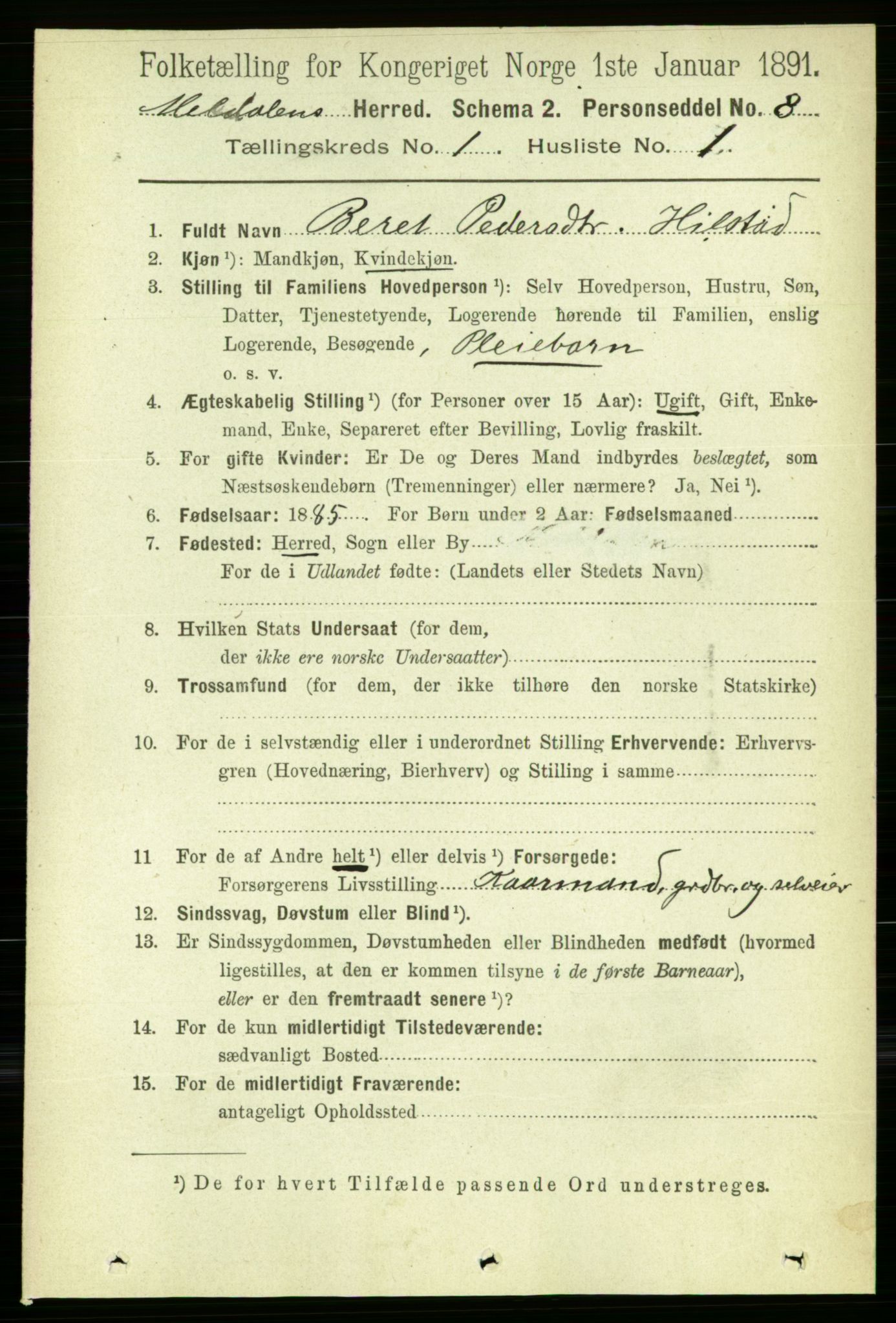 RA, 1891 census for 1636 Meldal, 1891, p. 162