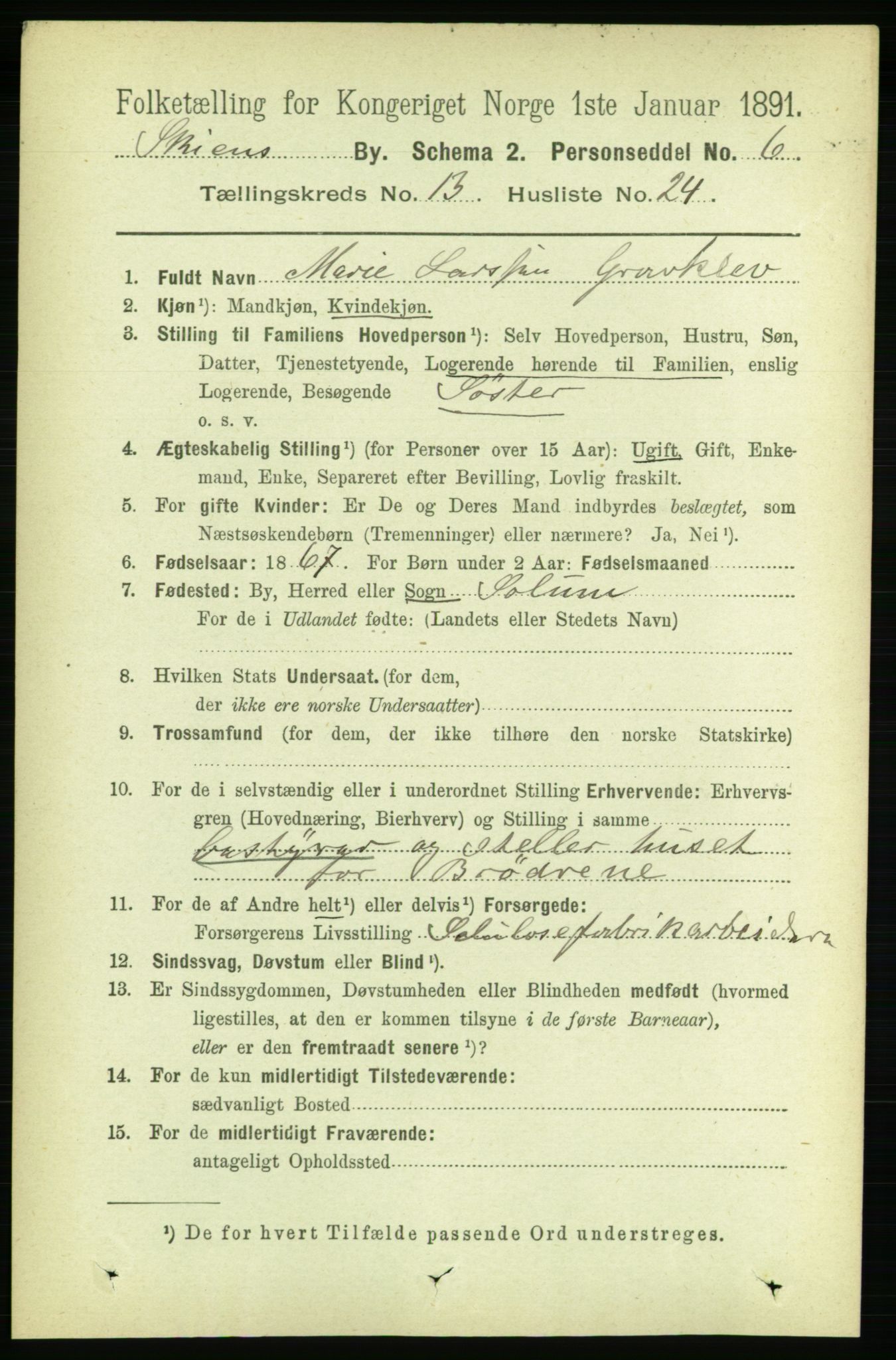 RA, 1891 census for 0806 Skien, 1891, p. 4274