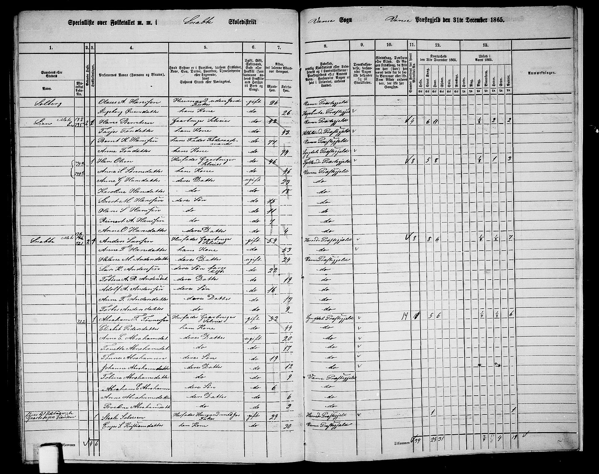 RA, 1865 census for Vanse/Vanse og Farsund, 1865, p. 256