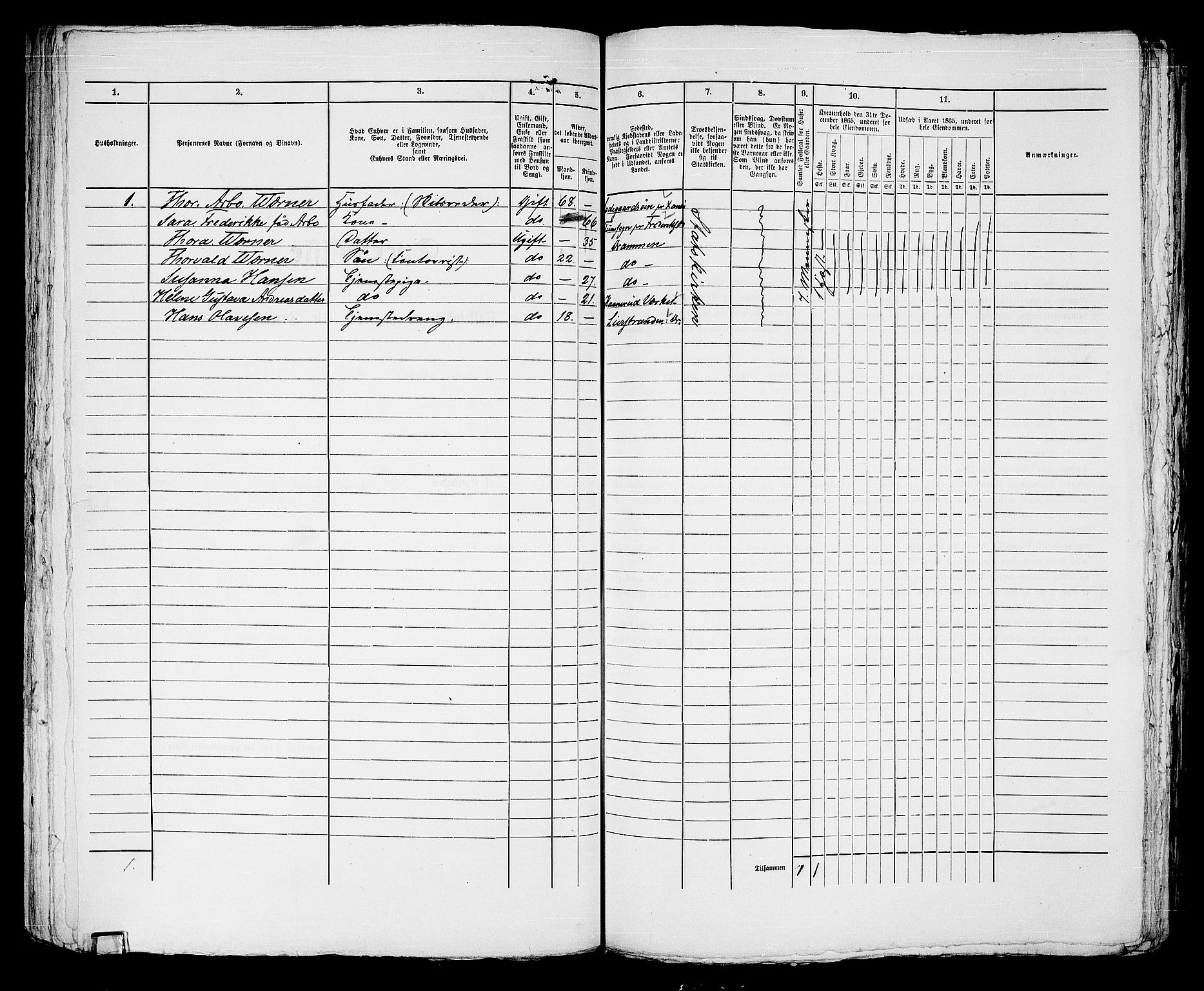 RA, 1865 census for Strømsø in Drammen, 1865, p. 752