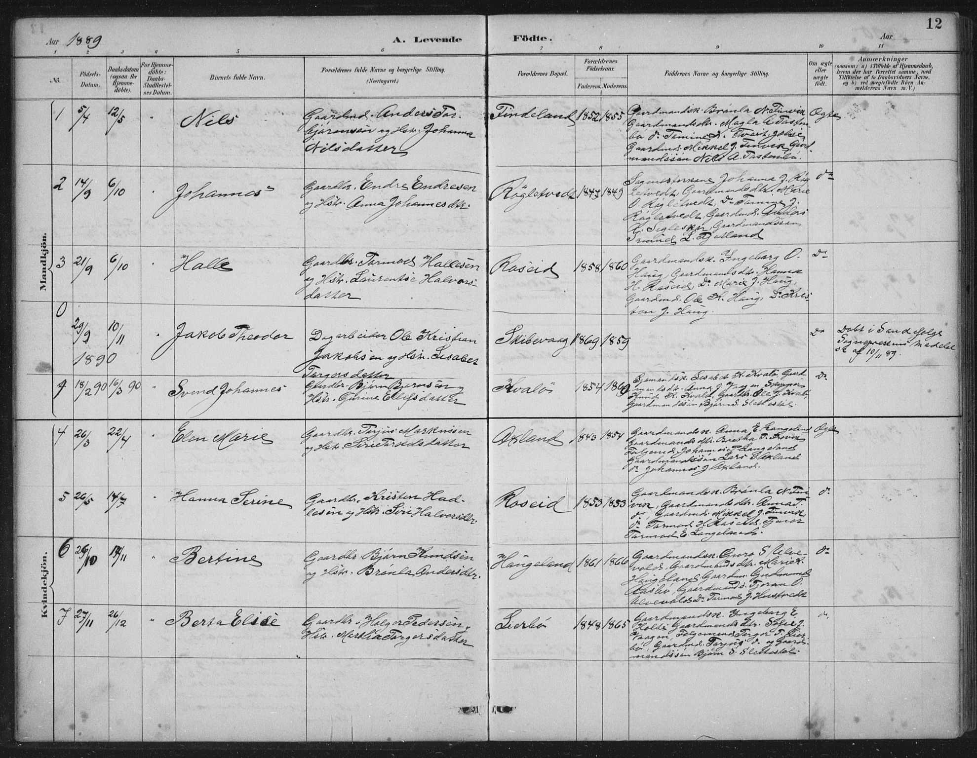 Vikedal sokneprestkontor, AV/SAST-A-101840/01/IV: Parish register (official) no. A 12, 1886-1929, p. 12