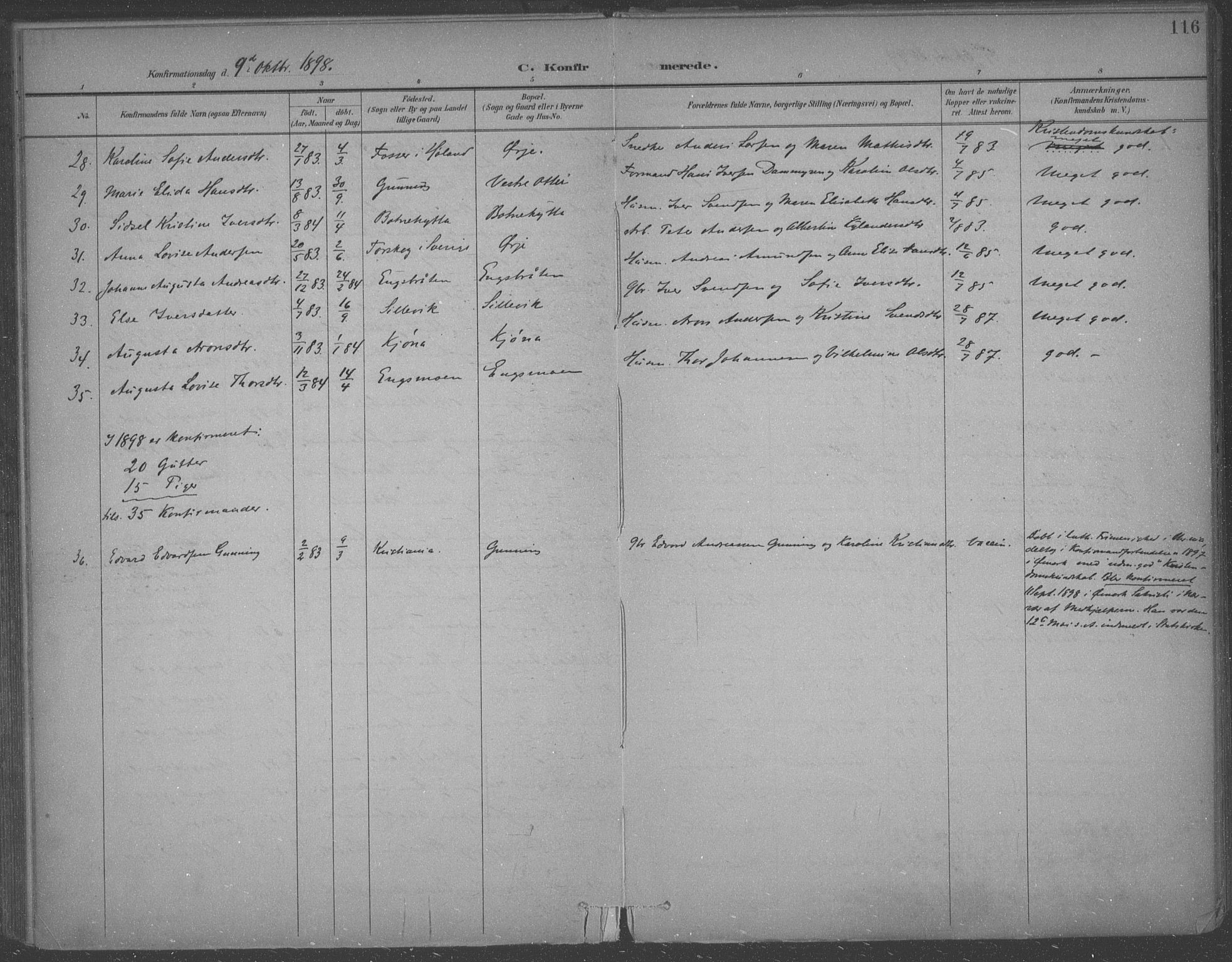 Aremark prestekontor Kirkebøker, SAO/A-10899/F/Fb/L0005: Parish register (official) no. II 5, 1895-1919, p. 116