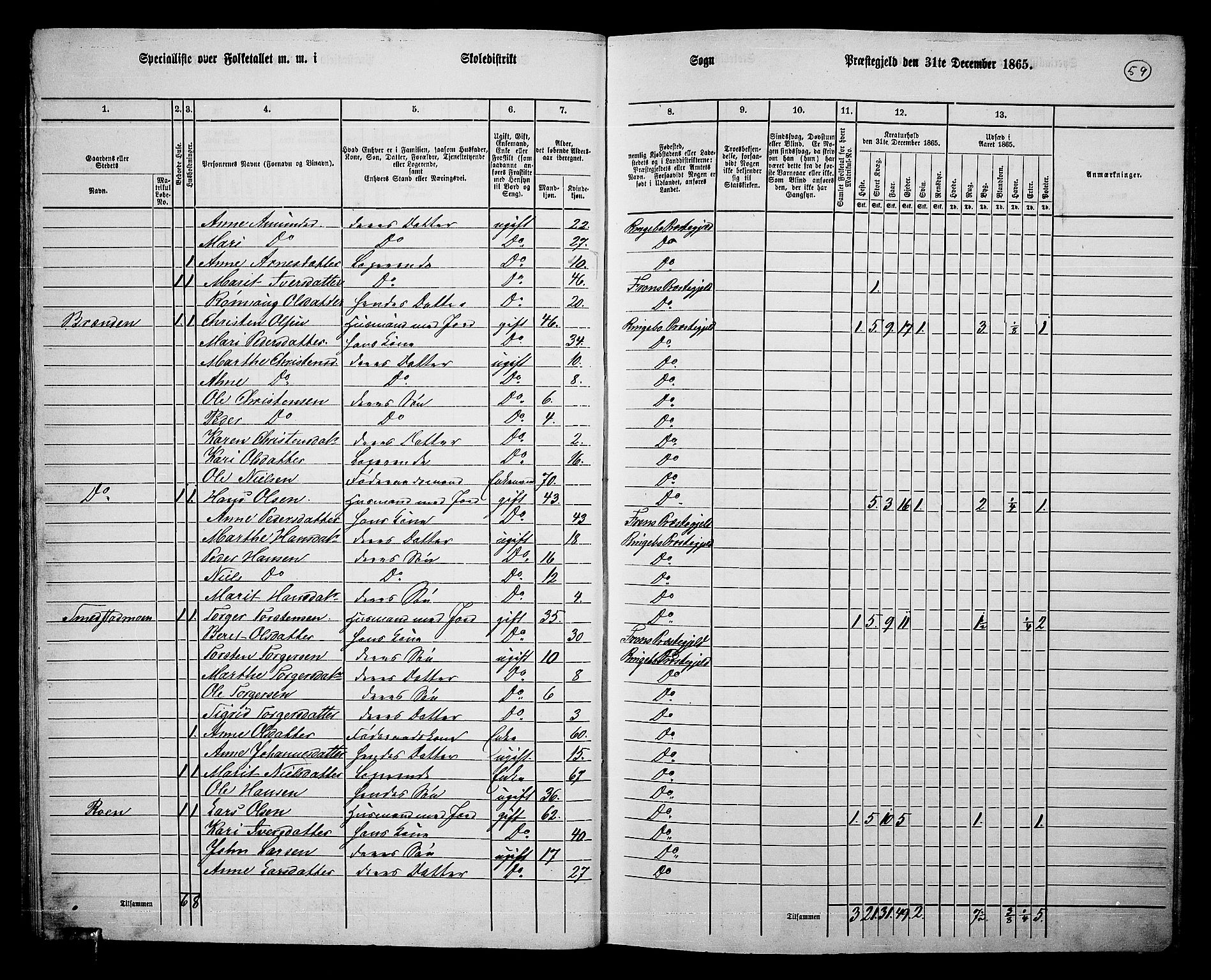 RA, 1865 census for Ringebu, 1865, p. 50