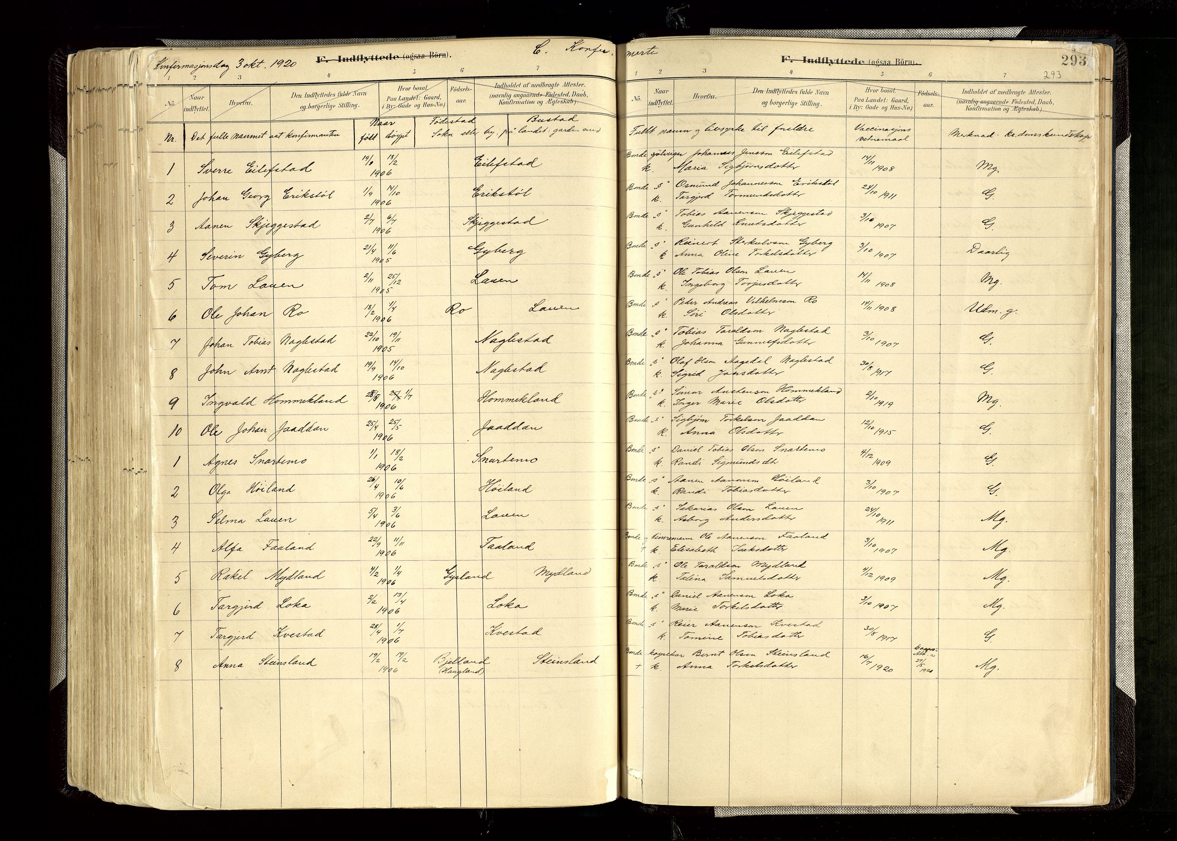 Hægebostad sokneprestkontor, AV/SAK-1111-0024/F/Fa/Faa/L0006: Parish register (official) no. A 6, 1887-1929, p. 293