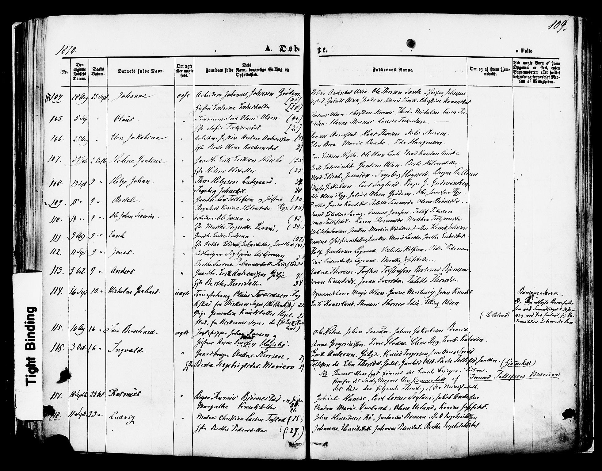 Hetland sokneprestkontor, AV/SAST-A-101826/30/30BA/L0003: Parish register (official) no. A 3, 1862-1876, p. 109