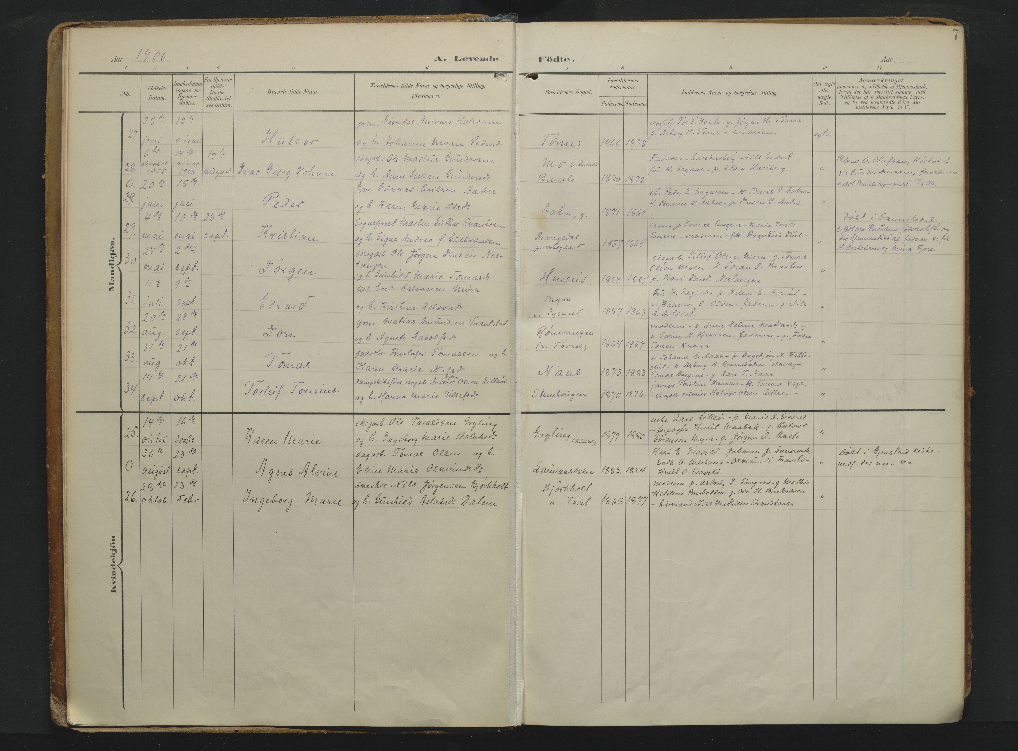 Drangedal kirkebøker, AV/SAKO-A-258/F/Fa/L0014: Parish register (official) no. 14, 1906-1920, p. 7