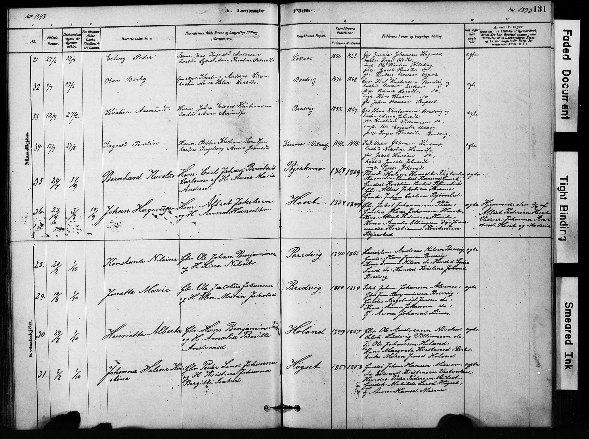 Ministerialprotokoller, klokkerbøker og fødselsregistre - Nordland, AV/SAT-A-1459/852/L0754: Parish register (copy) no. 852C05, 1878-1894, p. 131