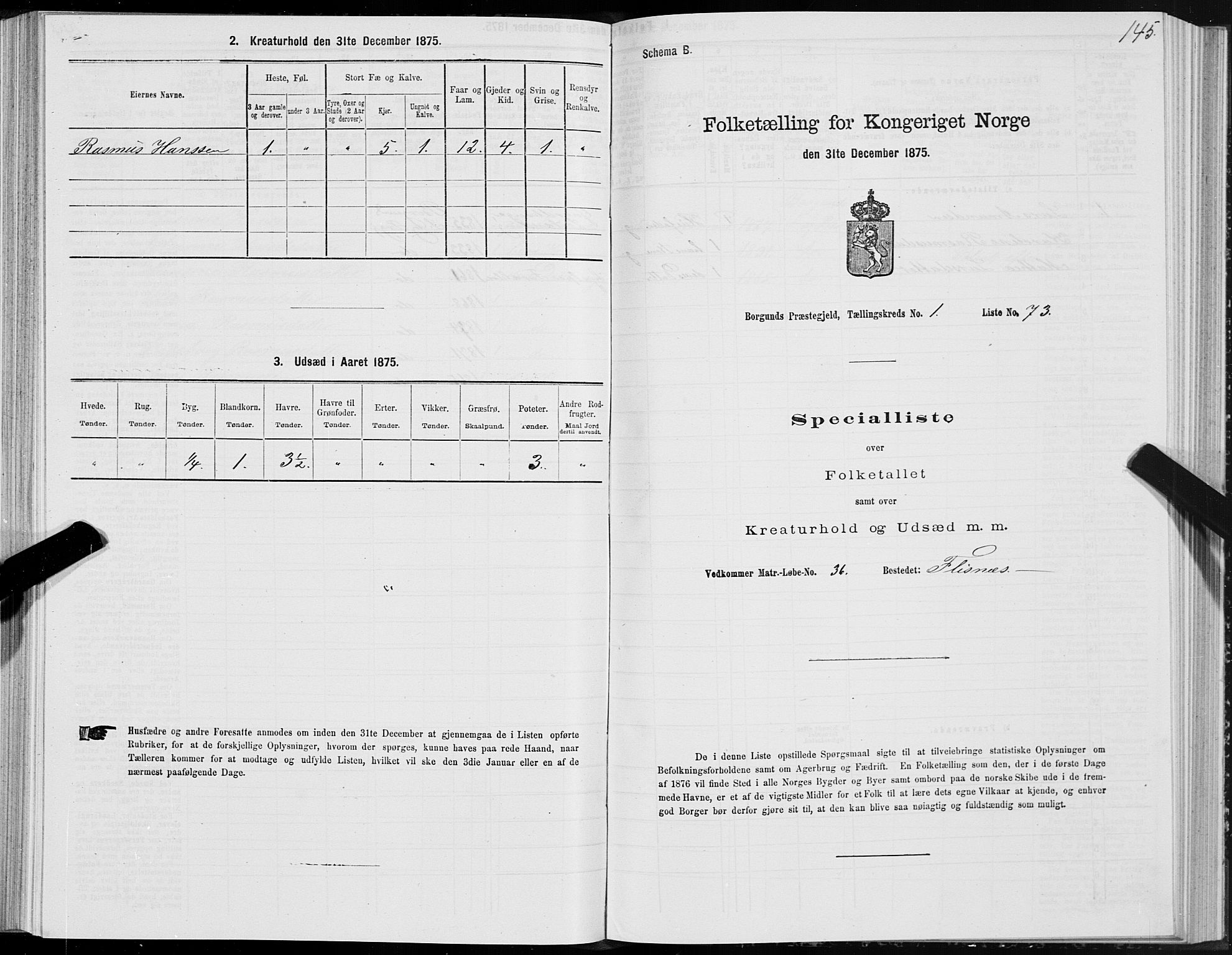 SAT, 1875 census for 1531P Borgund, 1875, p. 1145