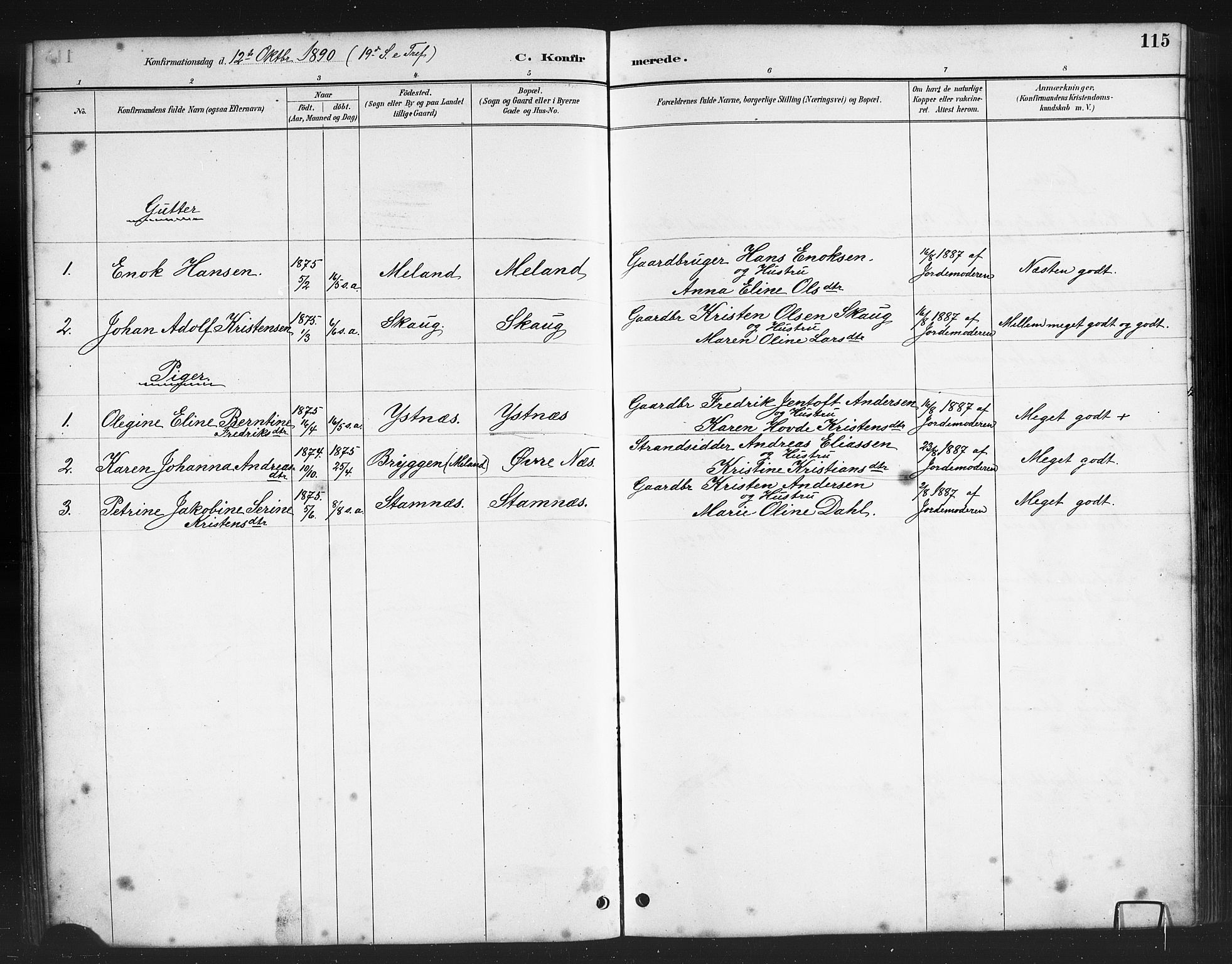 Ministerialprotokoller, klokkerbøker og fødselsregistre - Nordland, AV/SAT-A-1459/808/L0131: Parish register (copy) no. 808C02, 1879-1919, p. 115