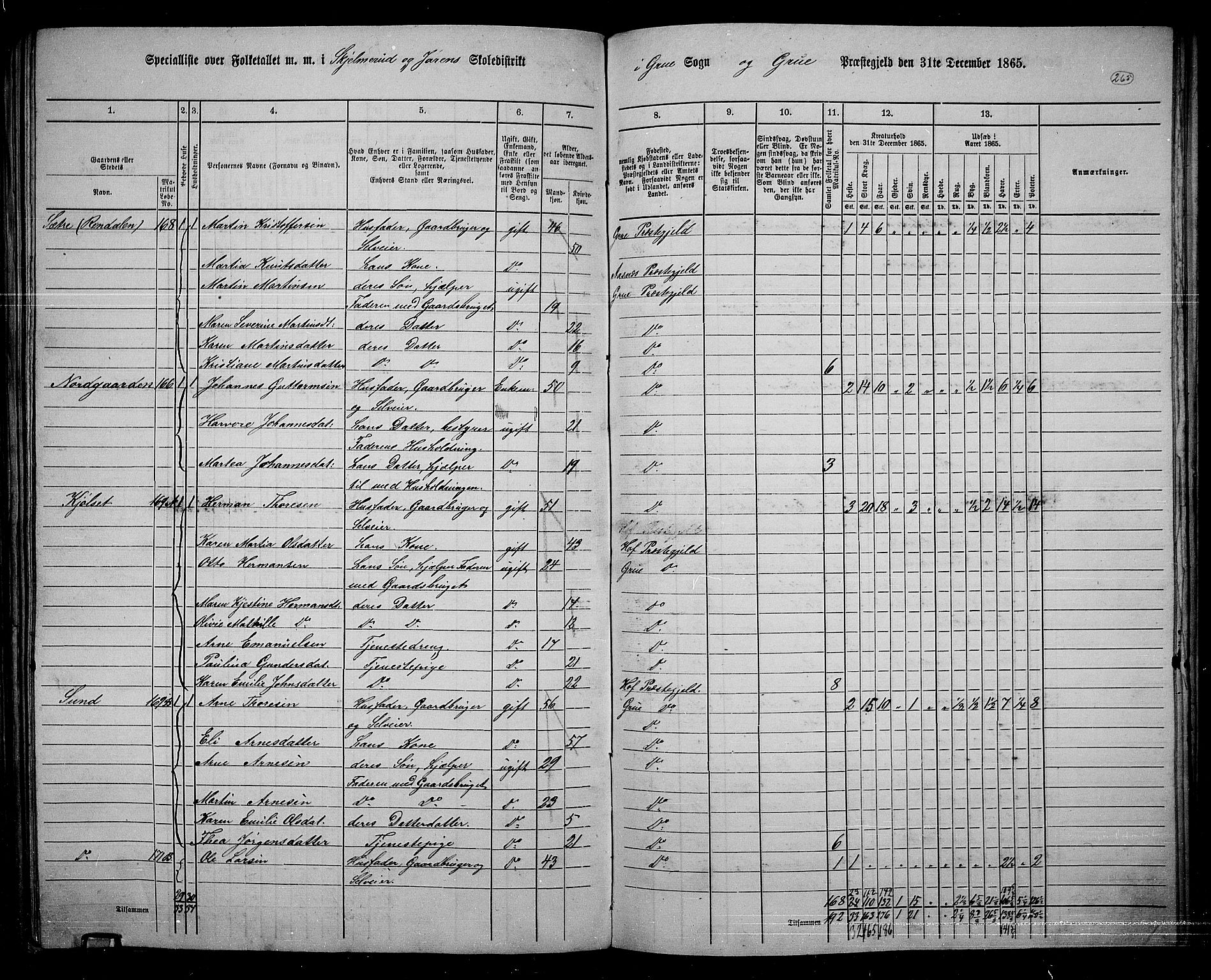 RA, 1865 census for Grue, 1865, p. 234