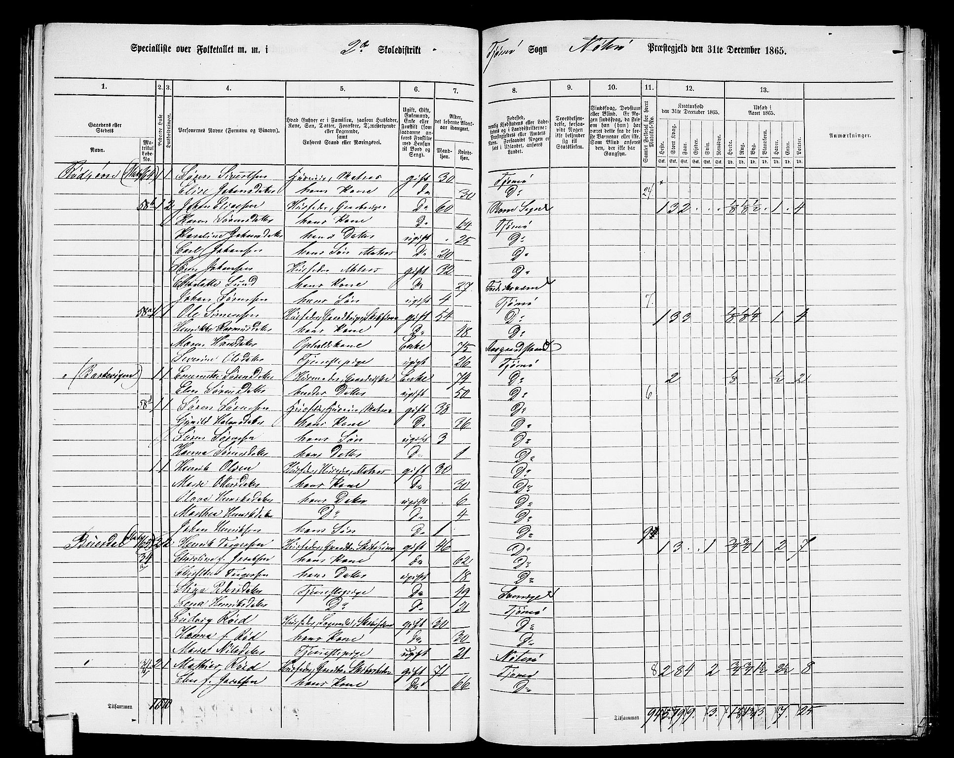 RA, 1865 census for Nøtterøy, 1865, p. 236