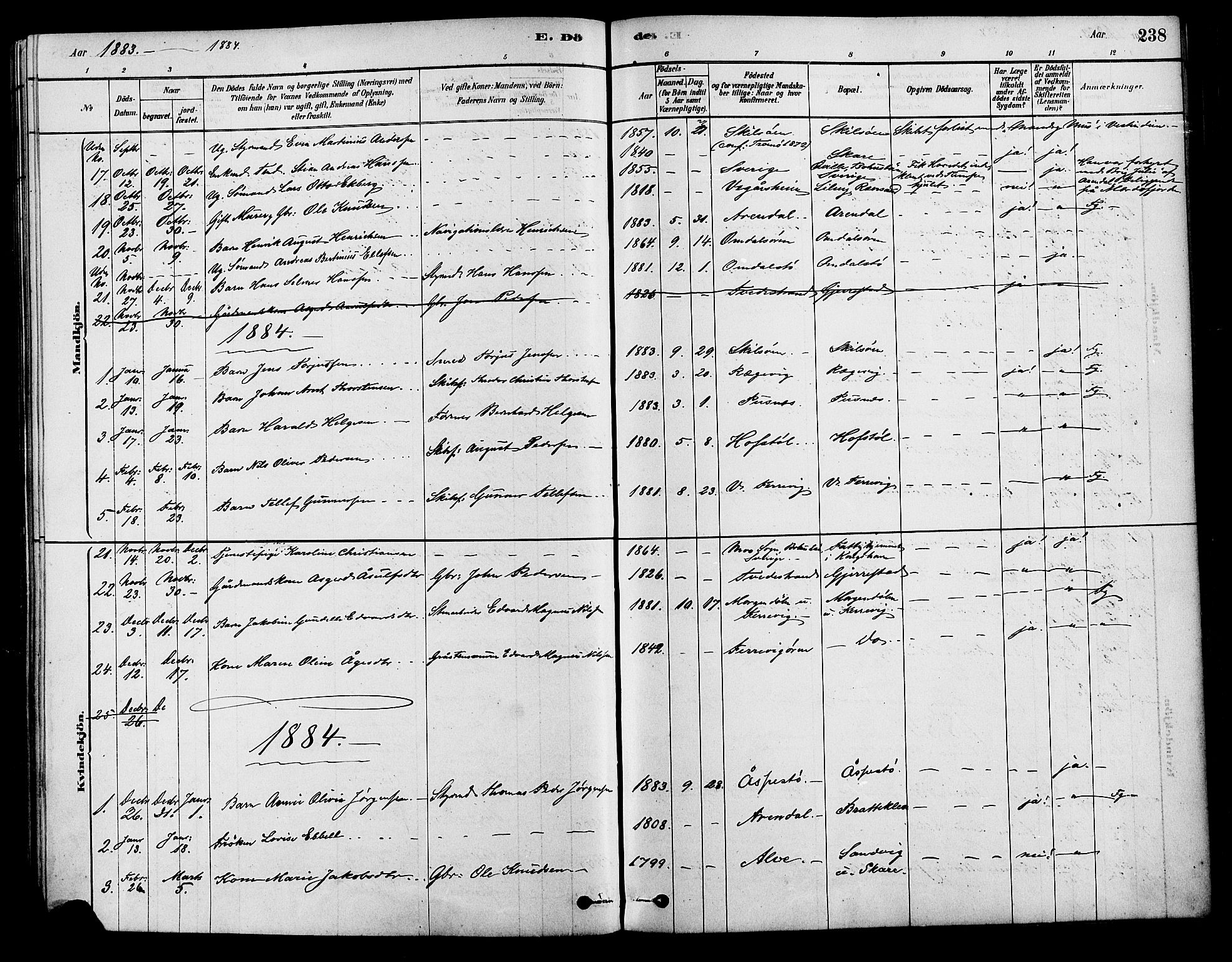 Tromøy sokneprestkontor, AV/SAK-1111-0041/F/Fa/L0009: Parish register (official) no. A 9, 1878-1896, p. 238