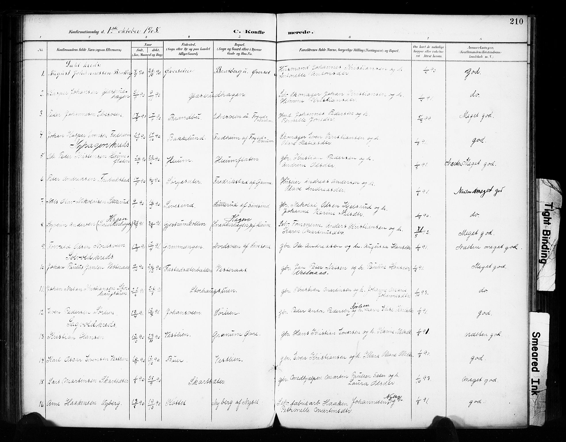 Vestre Toten prestekontor, SAH/PREST-108/H/Ha/Haa/L0011: Parish register (official) no. 11, 1895-1906, p. 210