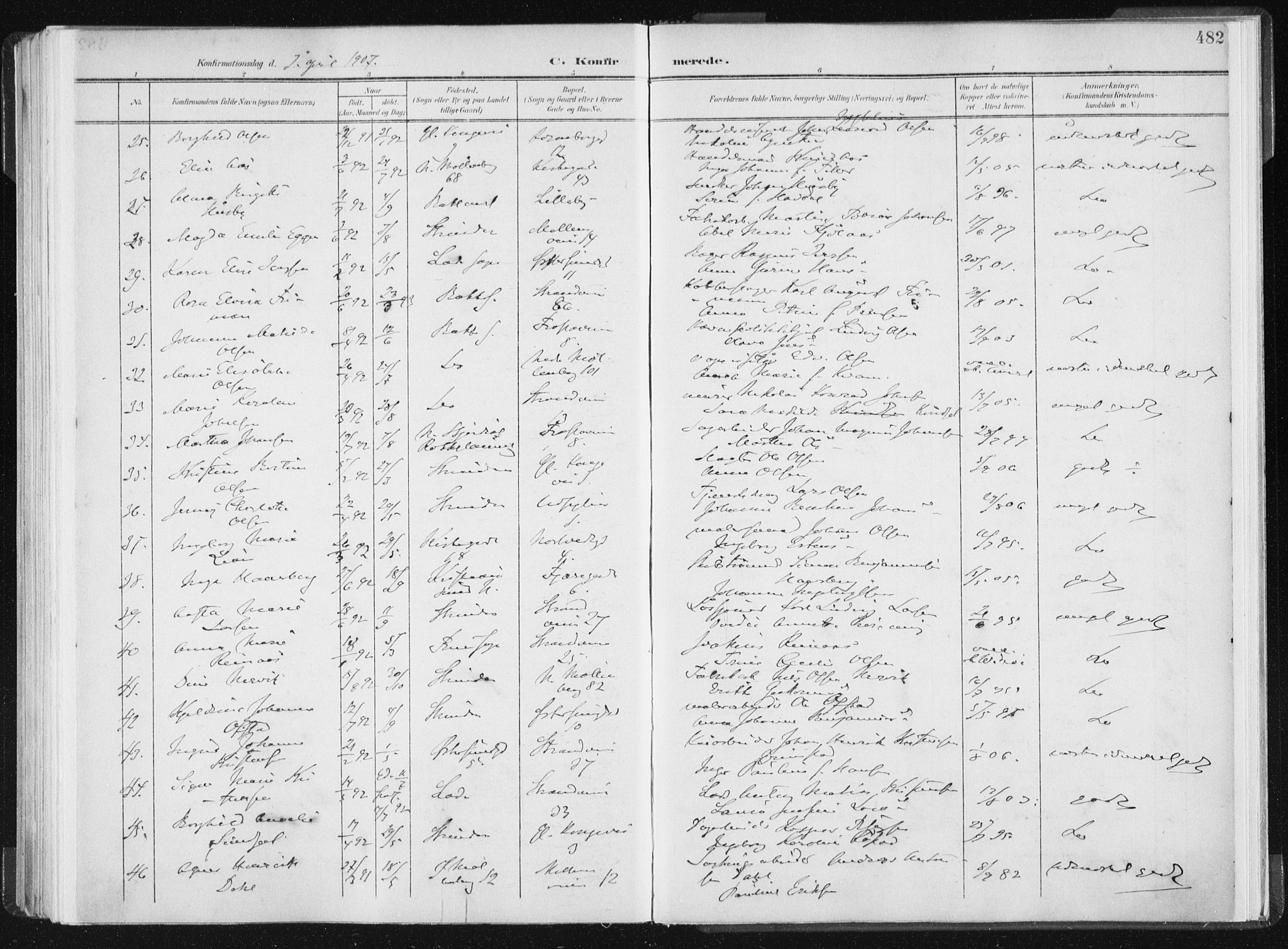 Ministerialprotokoller, klokkerbøker og fødselsregistre - Sør-Trøndelag, AV/SAT-A-1456/604/L0200: Parish register (official) no. 604A20II, 1901-1908, p. 482