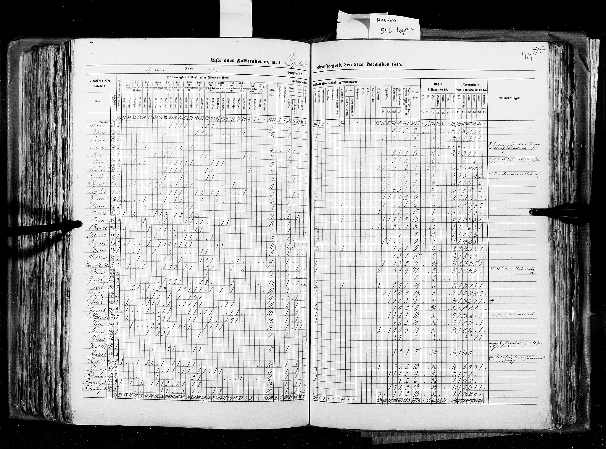 RA, Census 1845, vol. 8: Romsdal amt og Søndre Trondhjems amt, 1845, p. 427