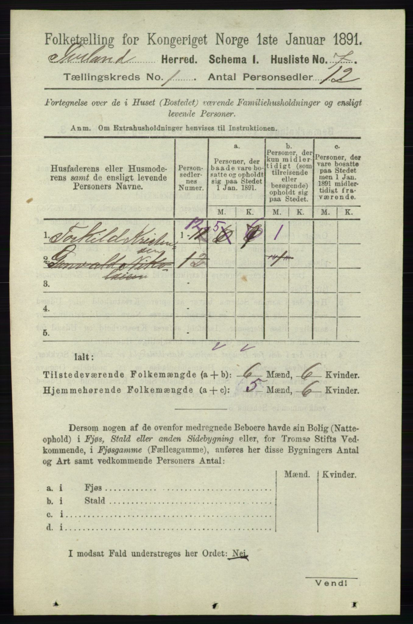 RA, 1891 census for 0935 Iveland, 1891, p. 21