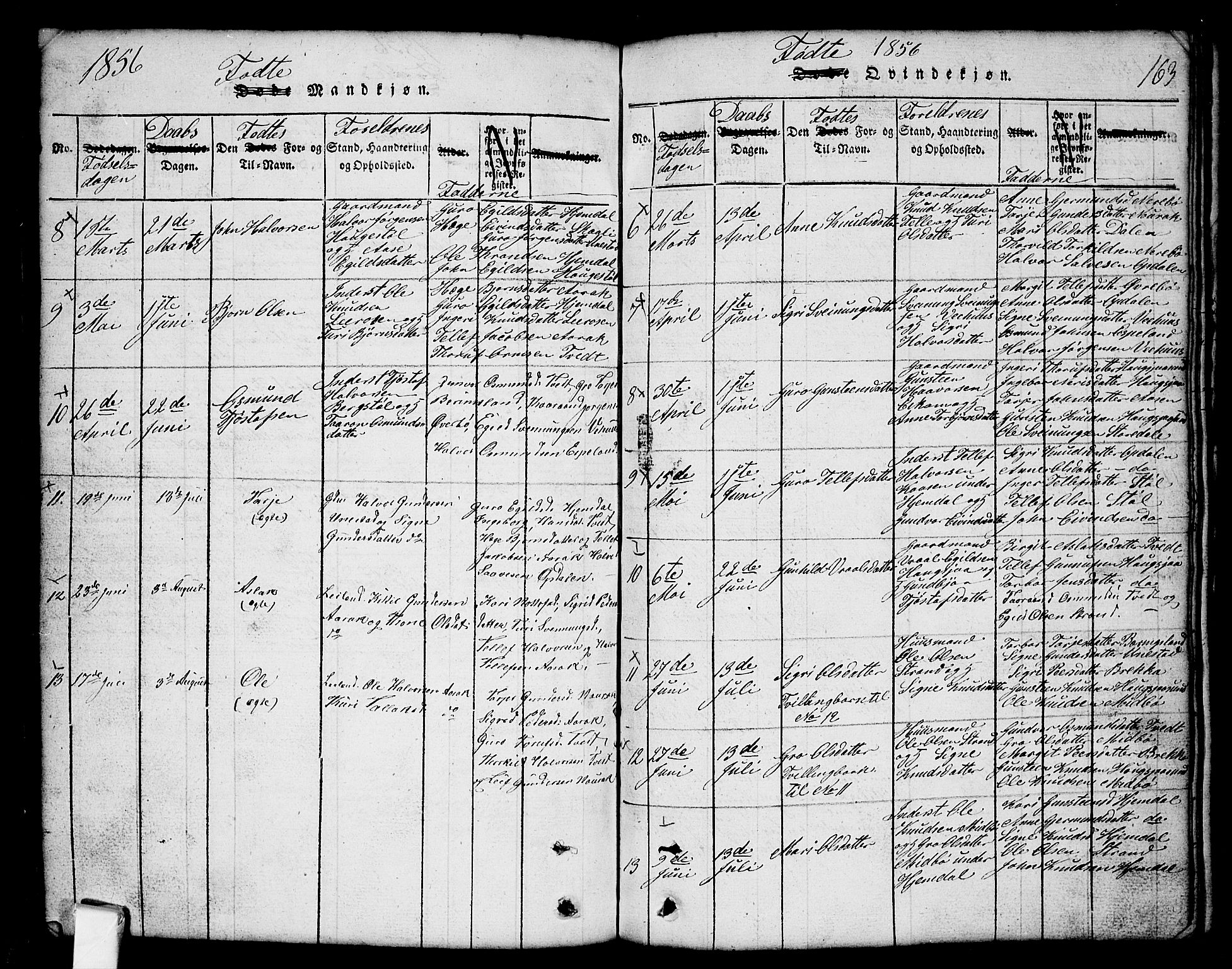 Nissedal kirkebøker, SAKO/A-288/G/Gb/L0001: Parish register (copy) no. II 1, 1814-1862, p. 163