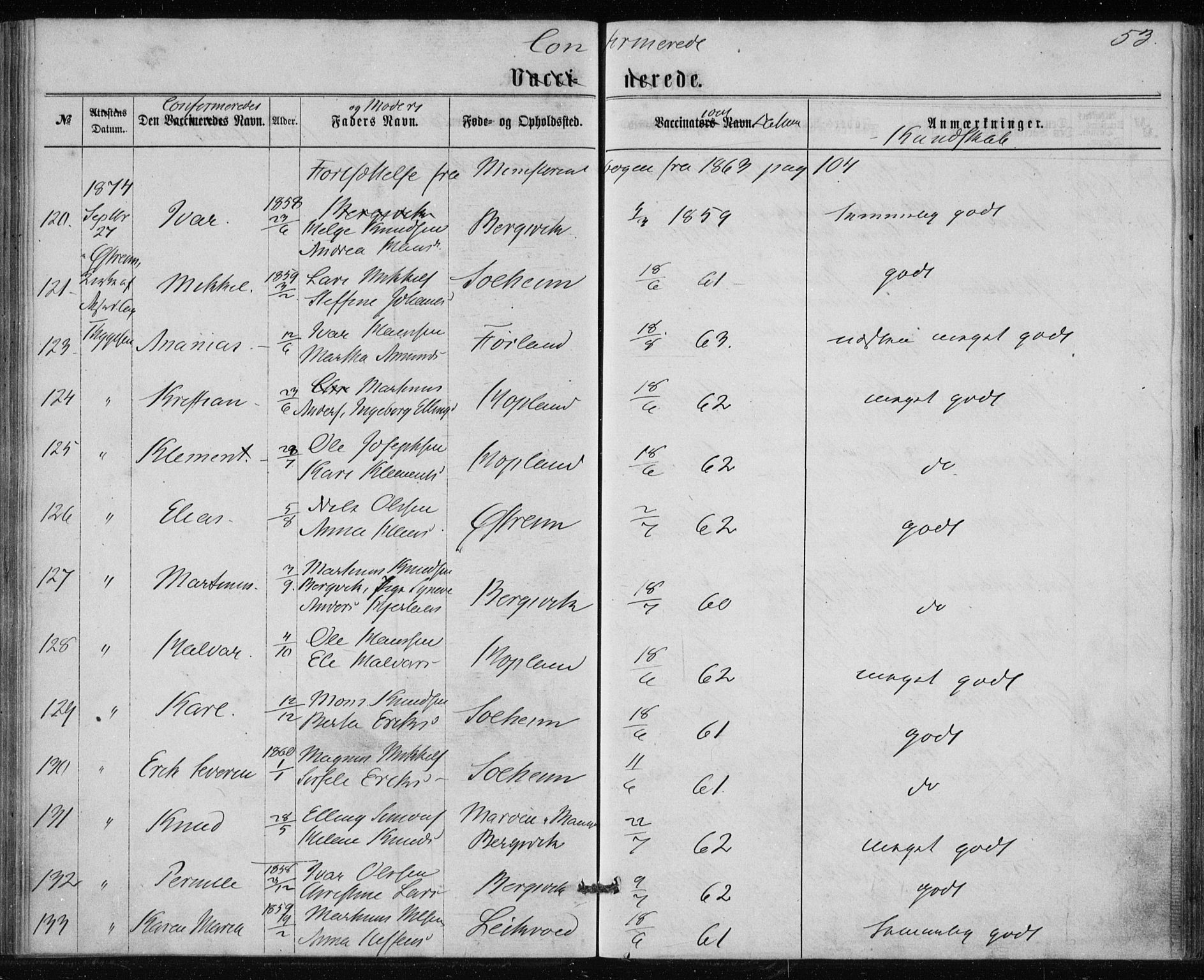 Lindås Sokneprestembete, AV/SAB-A-76701/H/Haa/Haaa/L0017: Parish register (official) no. A 17, 1874-1877, p. 53