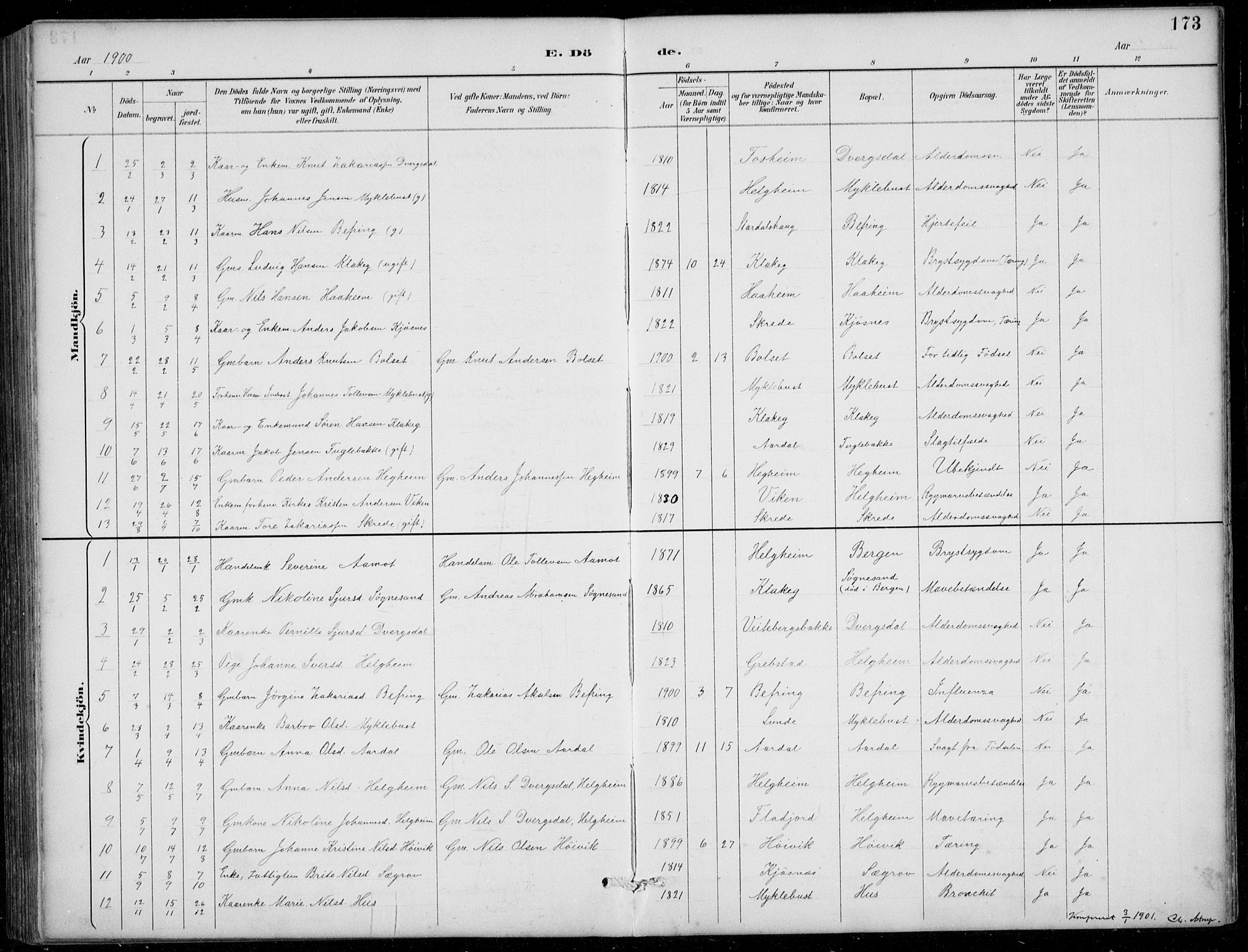 Jølster sokneprestembete, SAB/A-80701/H/Hab/Habb/L0002: Parish register (copy) no. B 2, 1887-1920, p. 173
