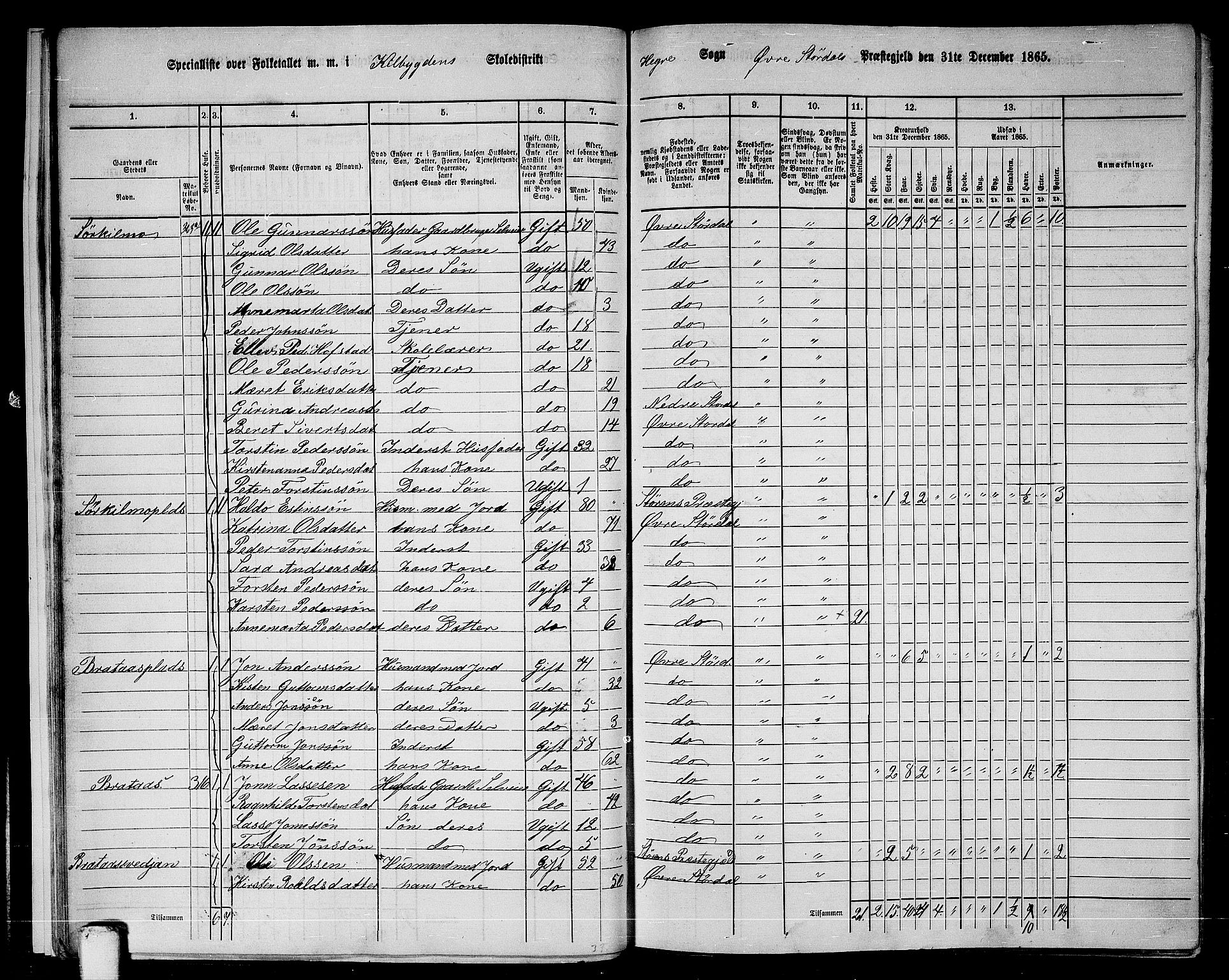 RA, 1865 census for Øvre Stjørdal, 1865, p. 17