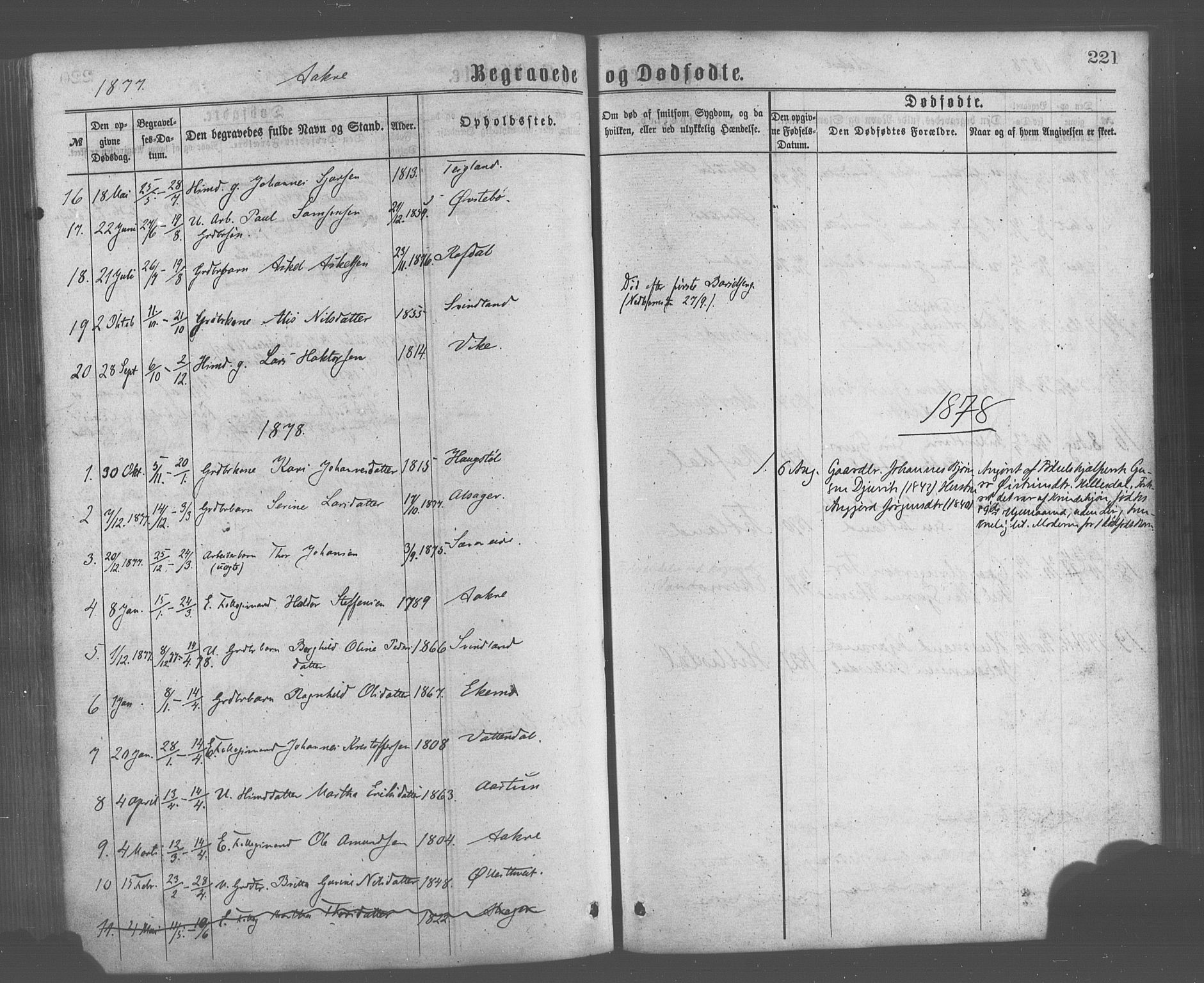 Skånevik sokneprestembete, AV/SAB-A-77801/H/Haa: Parish register (official) no. A 6, 1869-1878, p. 221