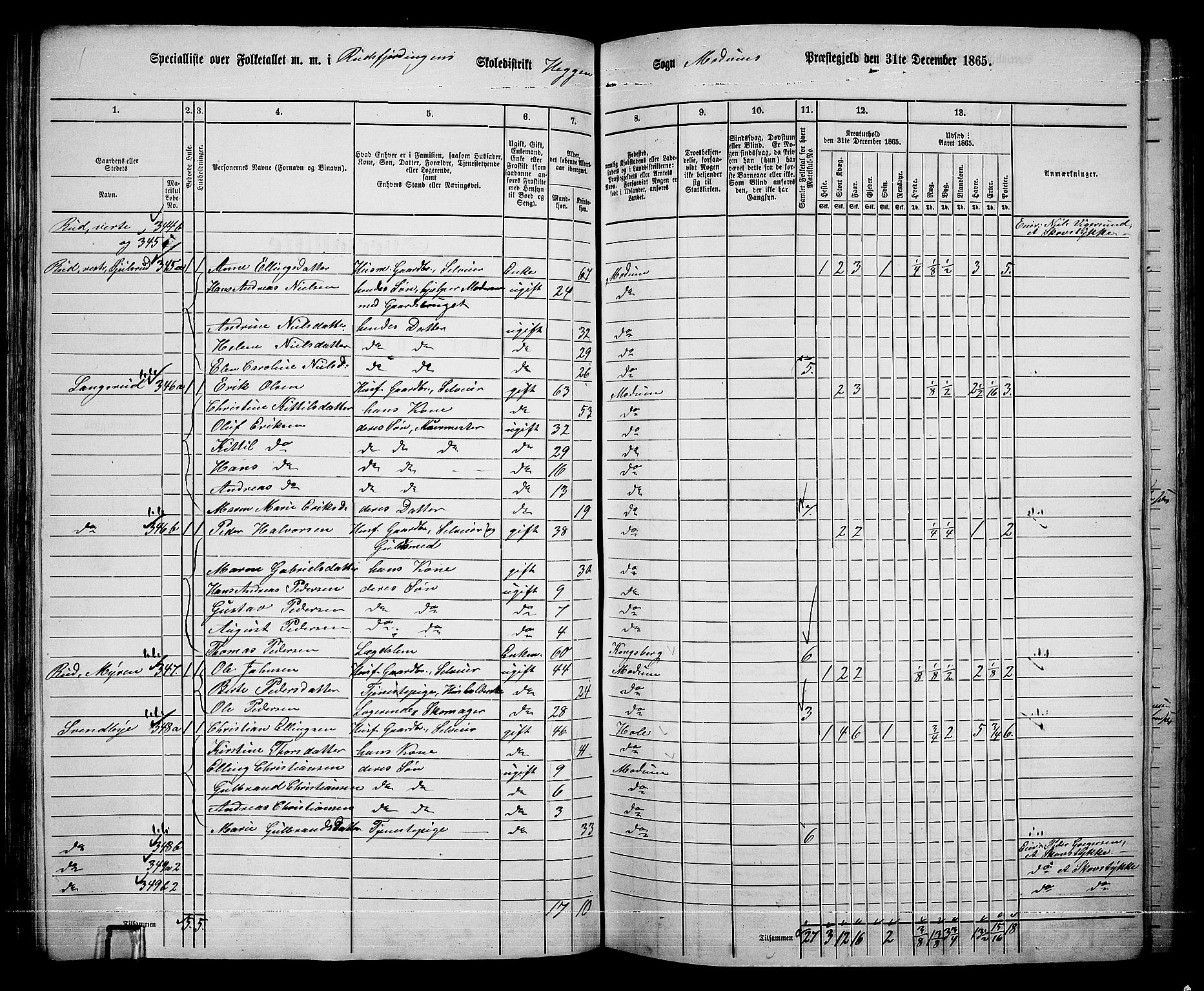 RA, 1865 census for Modum, 1865, p. 126