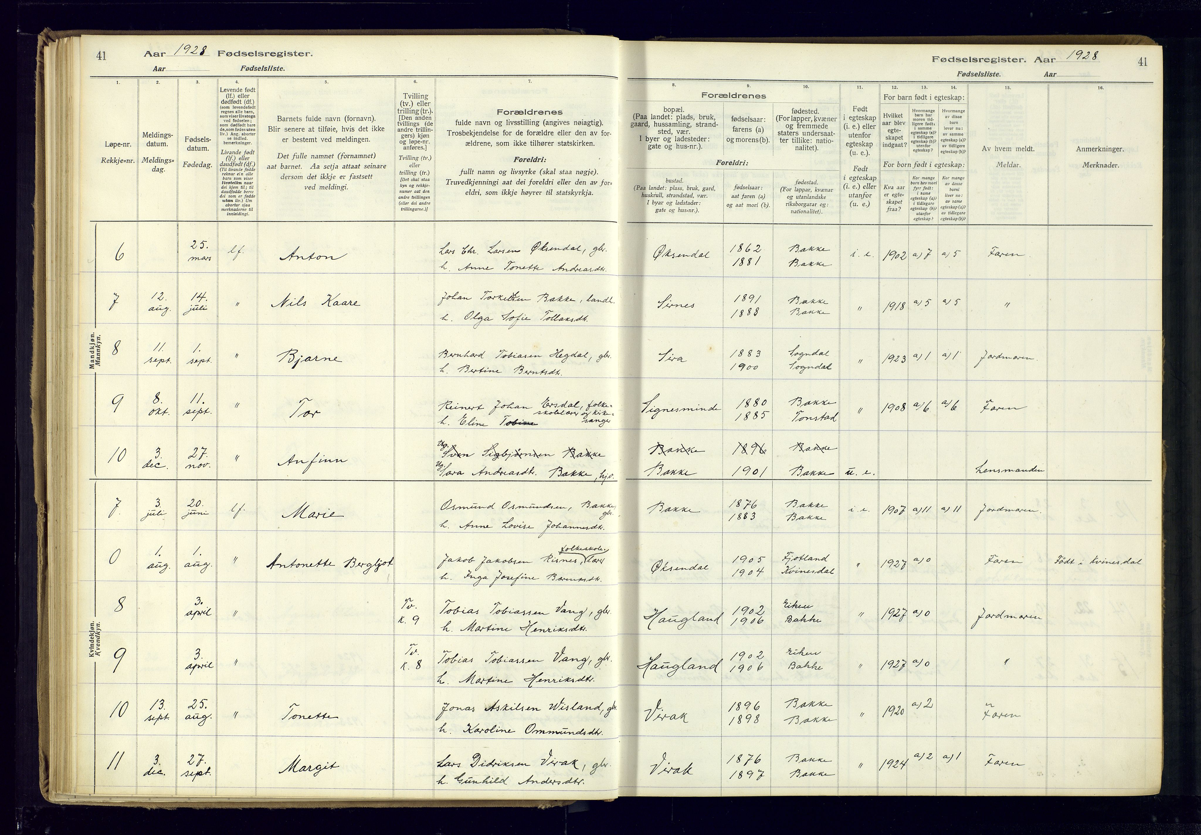 Bakke sokneprestkontor, AV/SAK-1111-0002/J/Ja/L0001: Birth register no. A-VI-18, 1916-1982, p. 41