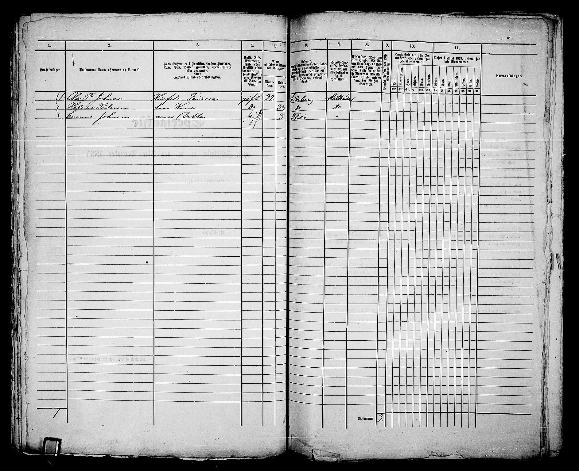 RA, 1865 census for Fredrikshald, 1865, p. 228