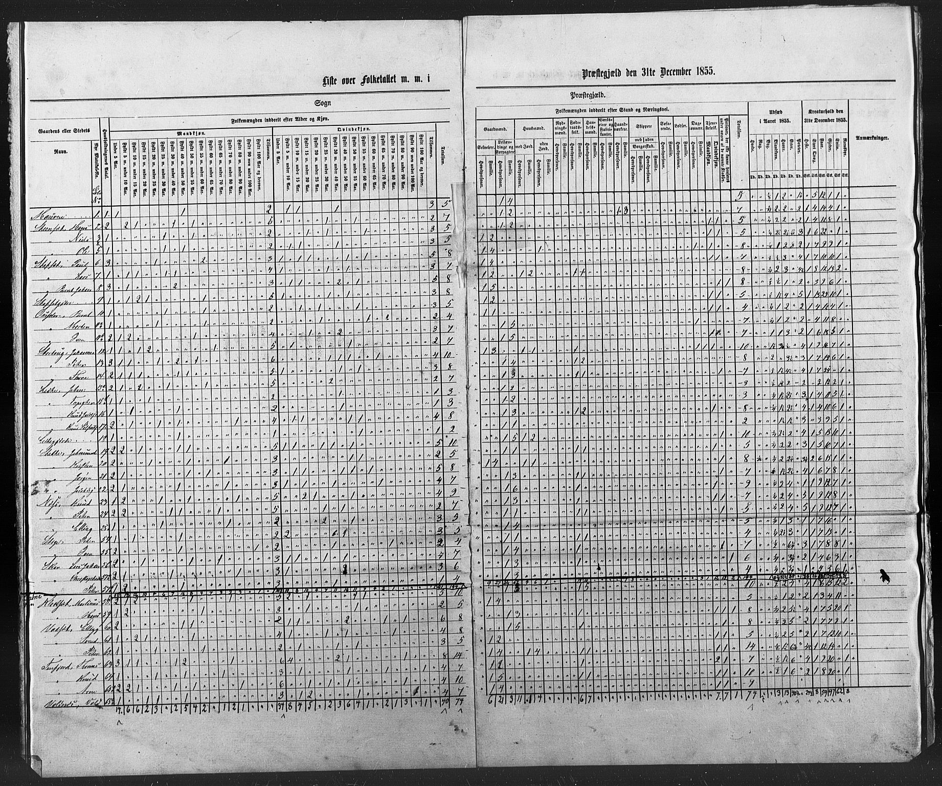 SAT, Census 1855 for Borgund, 1855, p. 19