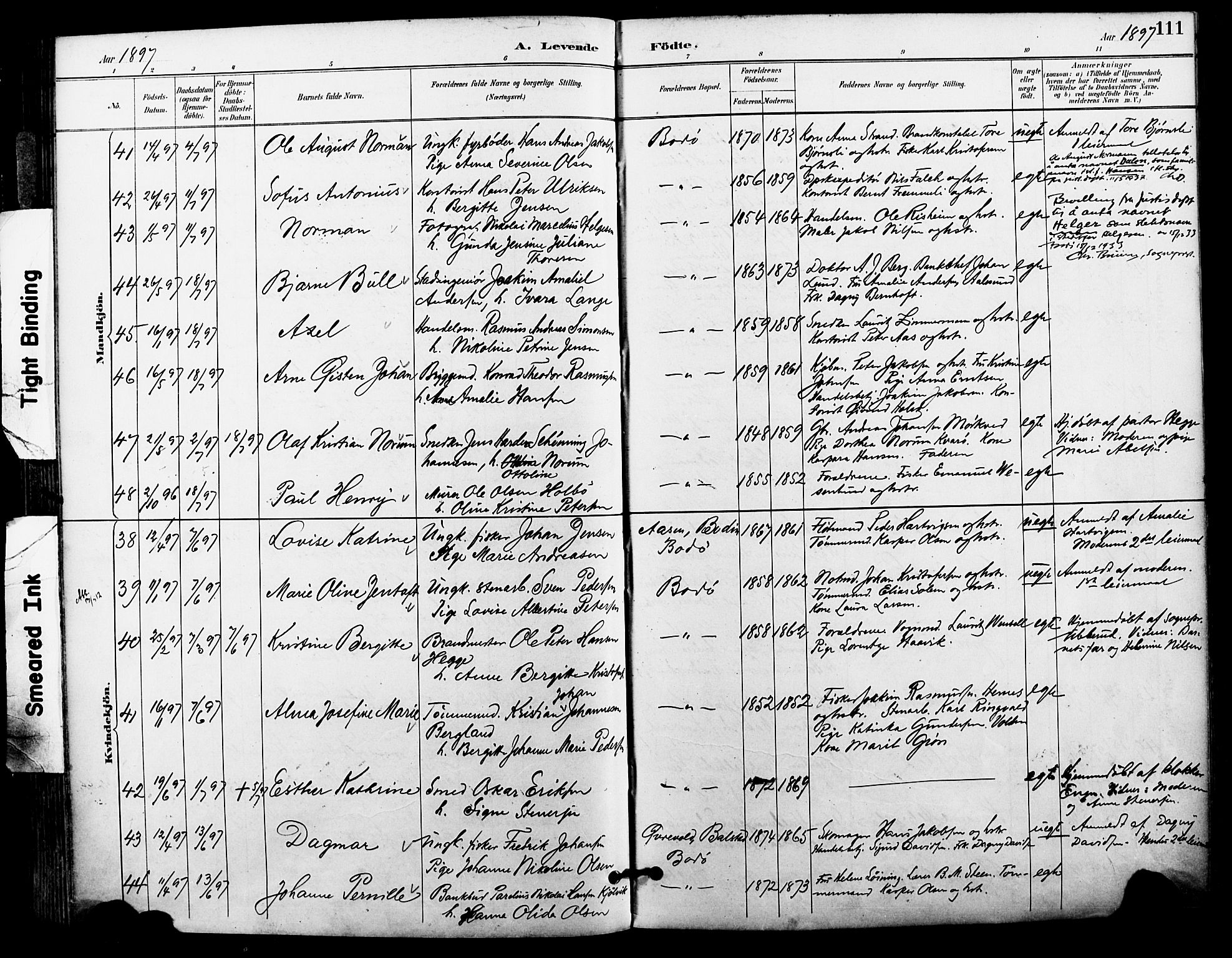 Ministerialprotokoller, klokkerbøker og fødselsregistre - Nordland, AV/SAT-A-1459/801/L0010: Parish register (official) no. 801A10, 1888-1899, p. 111