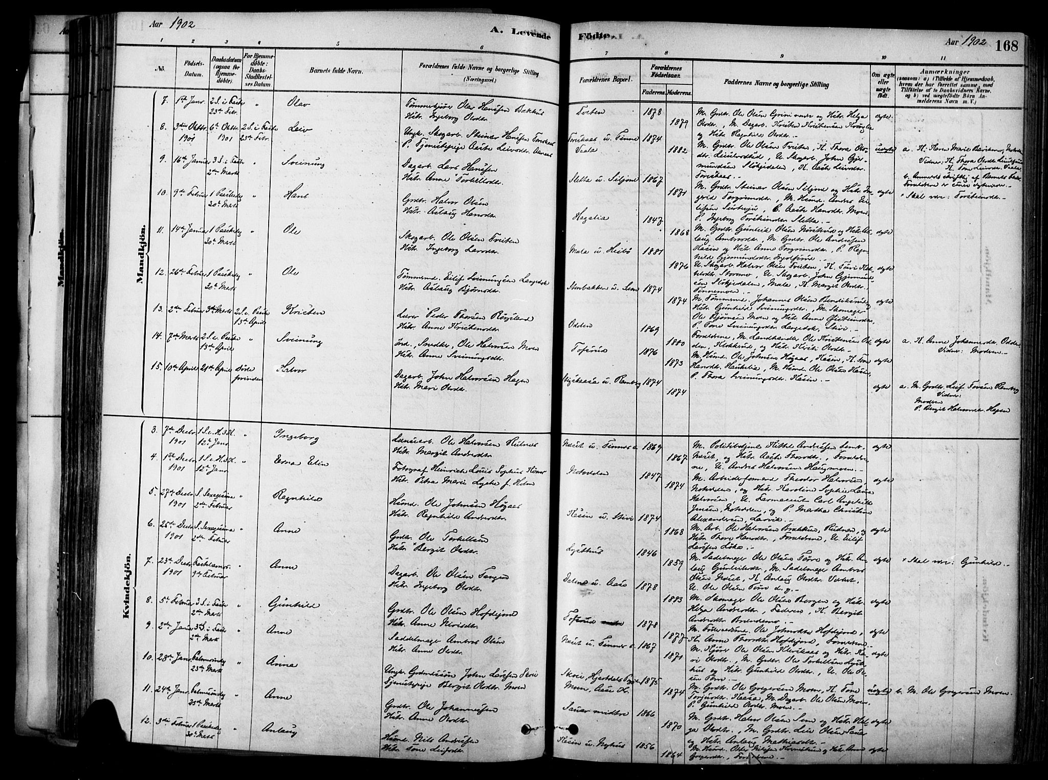 Heddal kirkebøker, SAKO/A-268/F/Fa/L0008: Parish register (official) no. I 8, 1878-1903, p. 168