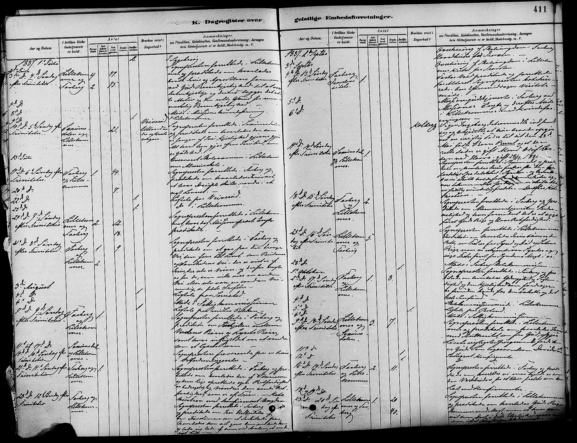 Fåberg prestekontor, AV/SAH-PREST-086/H/Ha/Haa/L0008: Parish register (official) no. 8, 1879-1898, p. 411