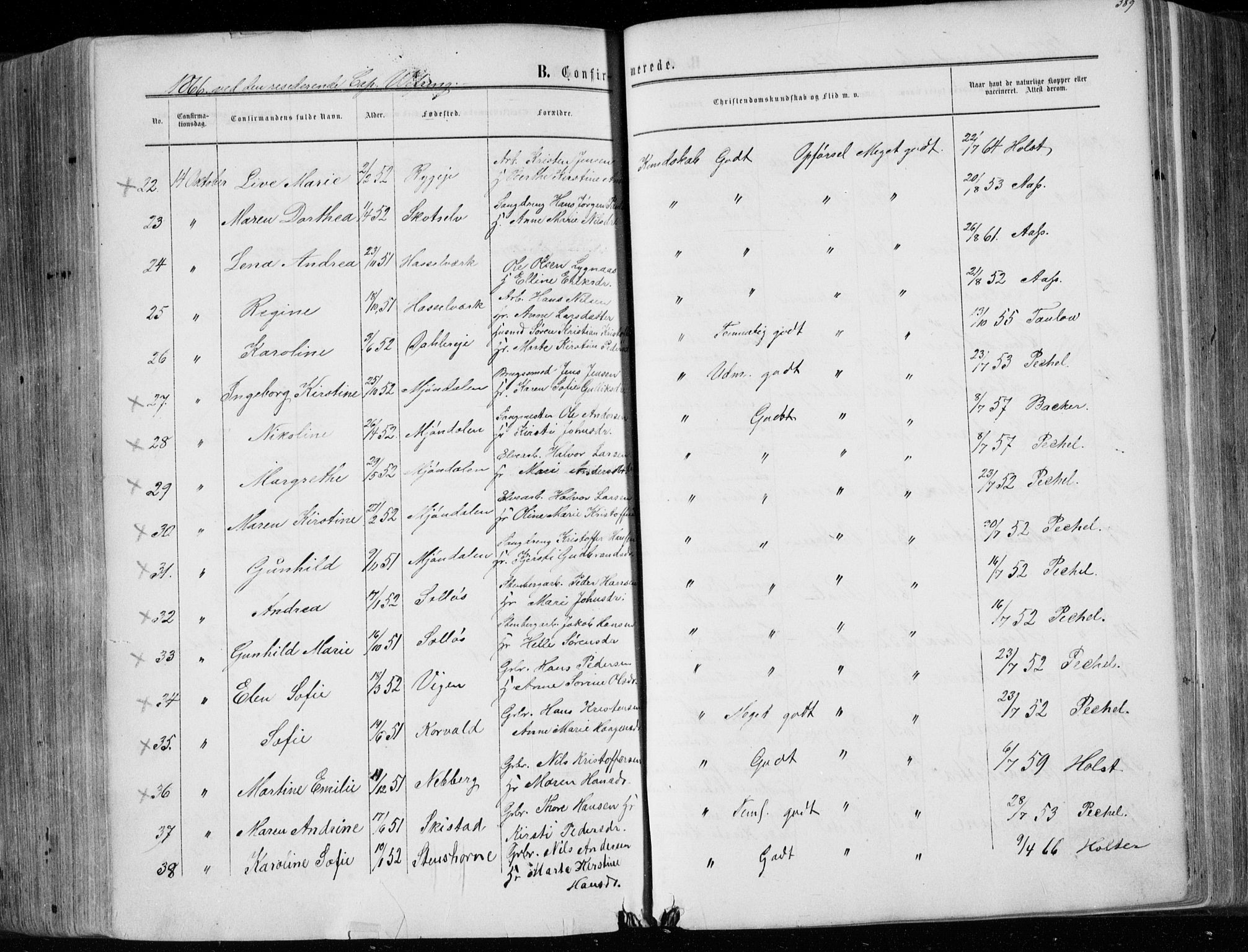 Eiker kirkebøker, AV/SAKO-A-4/F/Fa/L0016: Parish register (official) no. I 16, 1860-1868, p. 389