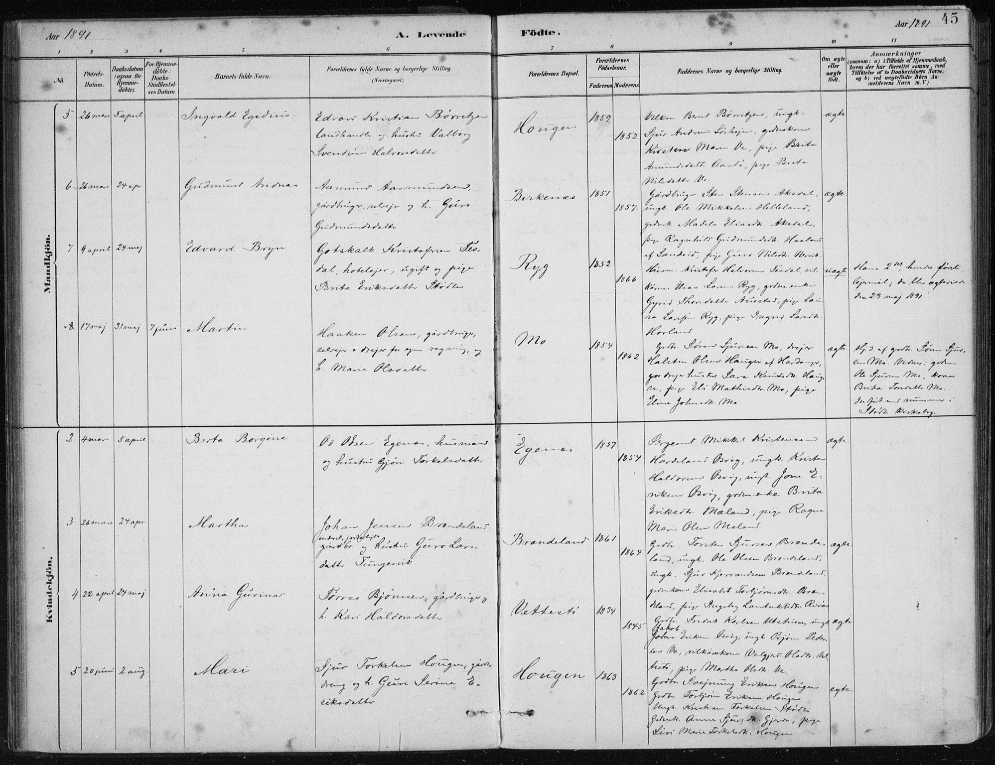 Etne sokneprestembete, AV/SAB-A-75001/H/Haa: Parish register (official) no. C  1, 1879-1919, p. 45