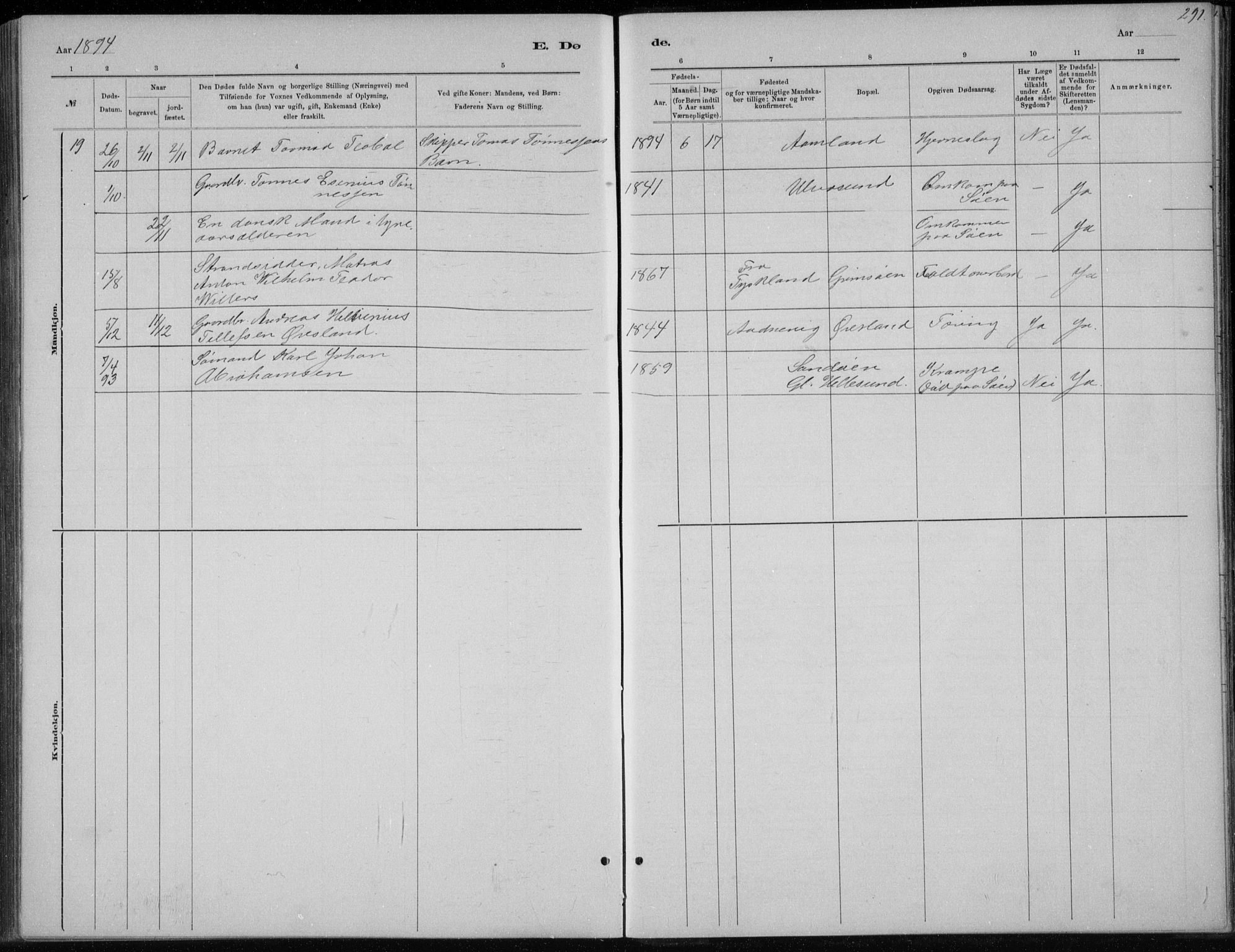 Høvåg sokneprestkontor, AV/SAK-1111-0025/F/Fb/L0004: Parish register (copy) no. B 4, 1883-1898, p. 291