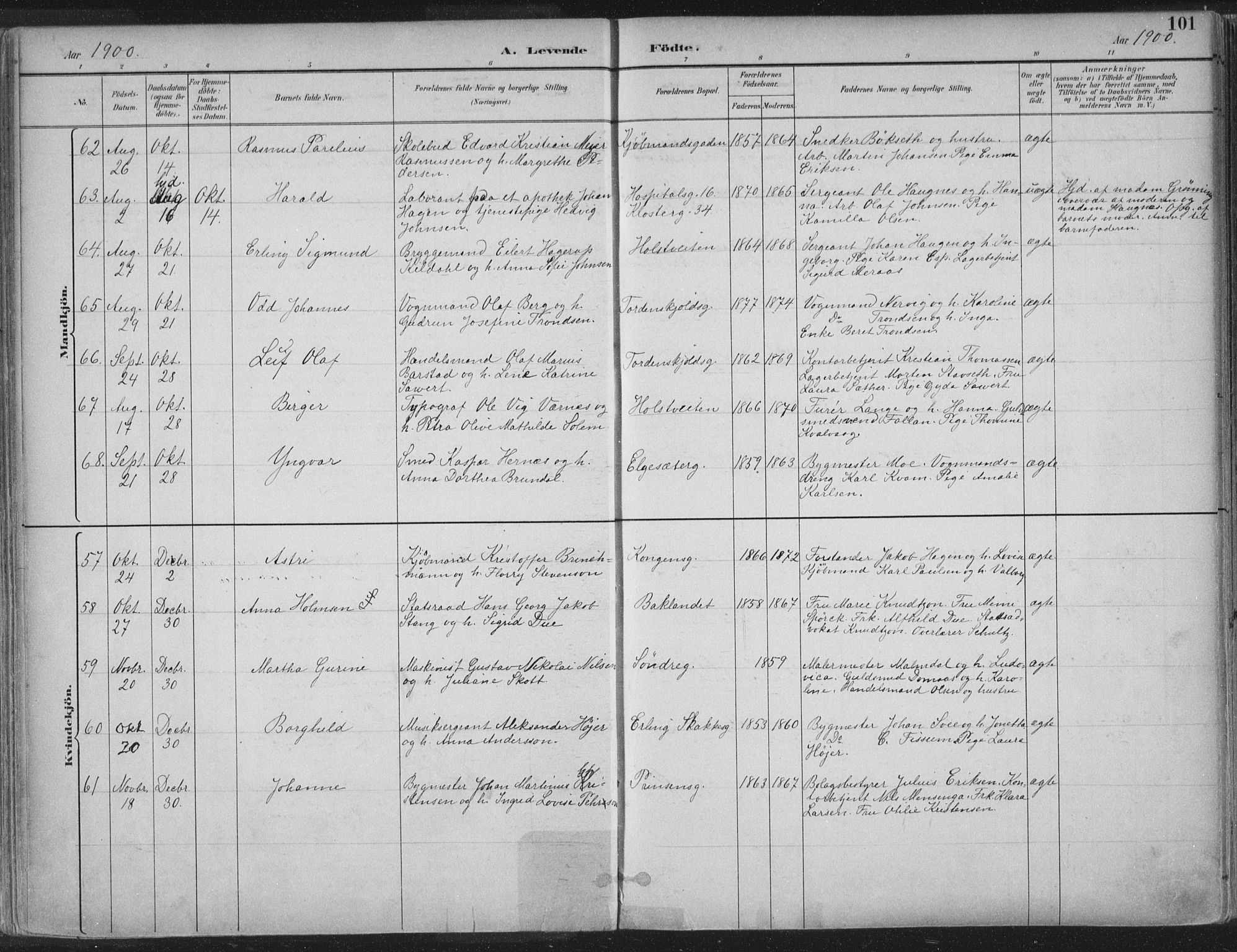 Ministerialprotokoller, klokkerbøker og fødselsregistre - Sør-Trøndelag, SAT/A-1456/601/L0062: Parish register (official) no. 601A30, 1891-1911, p. 101