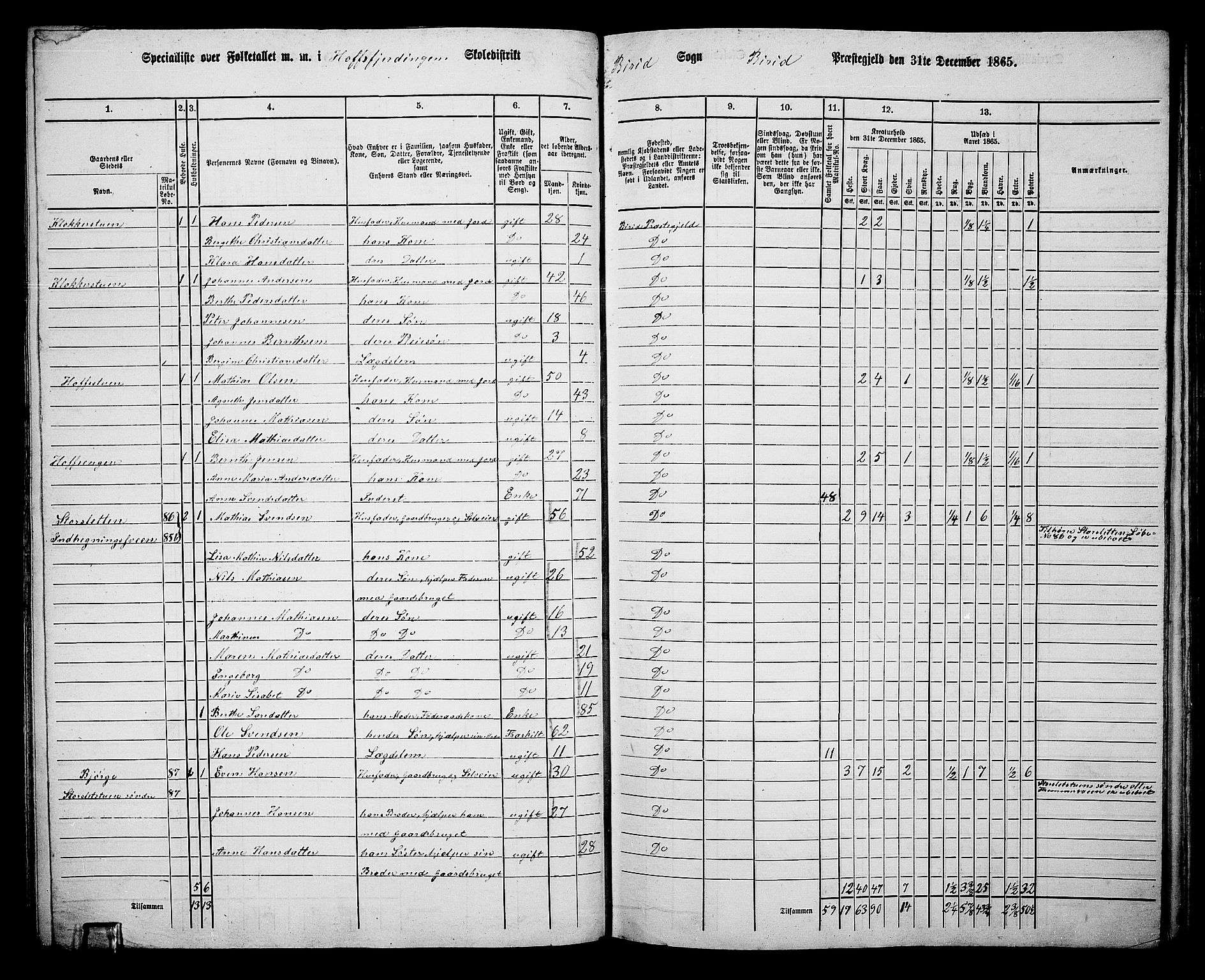 RA, 1865 census for Biri, 1865, p. 89