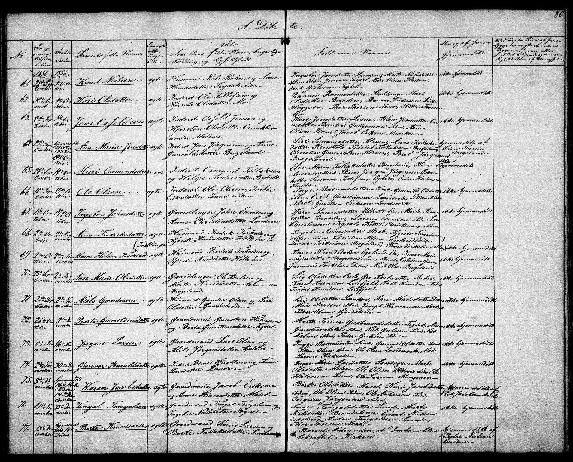 Gjerstad sokneprestkontor, SAK/1111-0014/F/Fa/Faa/L0006: Parish register (official) no. A 6, 1841-1857, p. 80