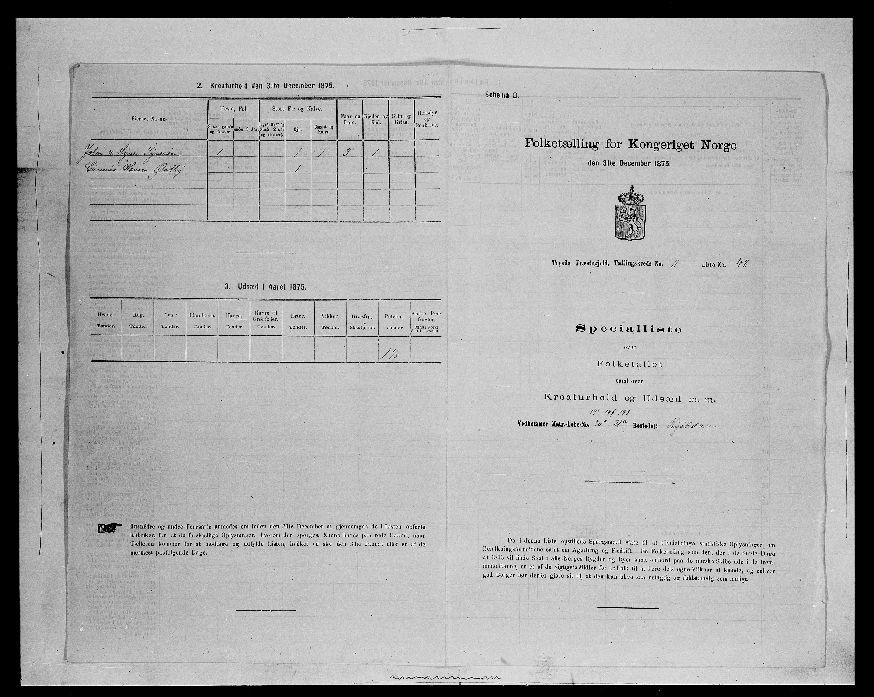 SAH, 1875 census for 0428P Trysil, 1875, p. 1323