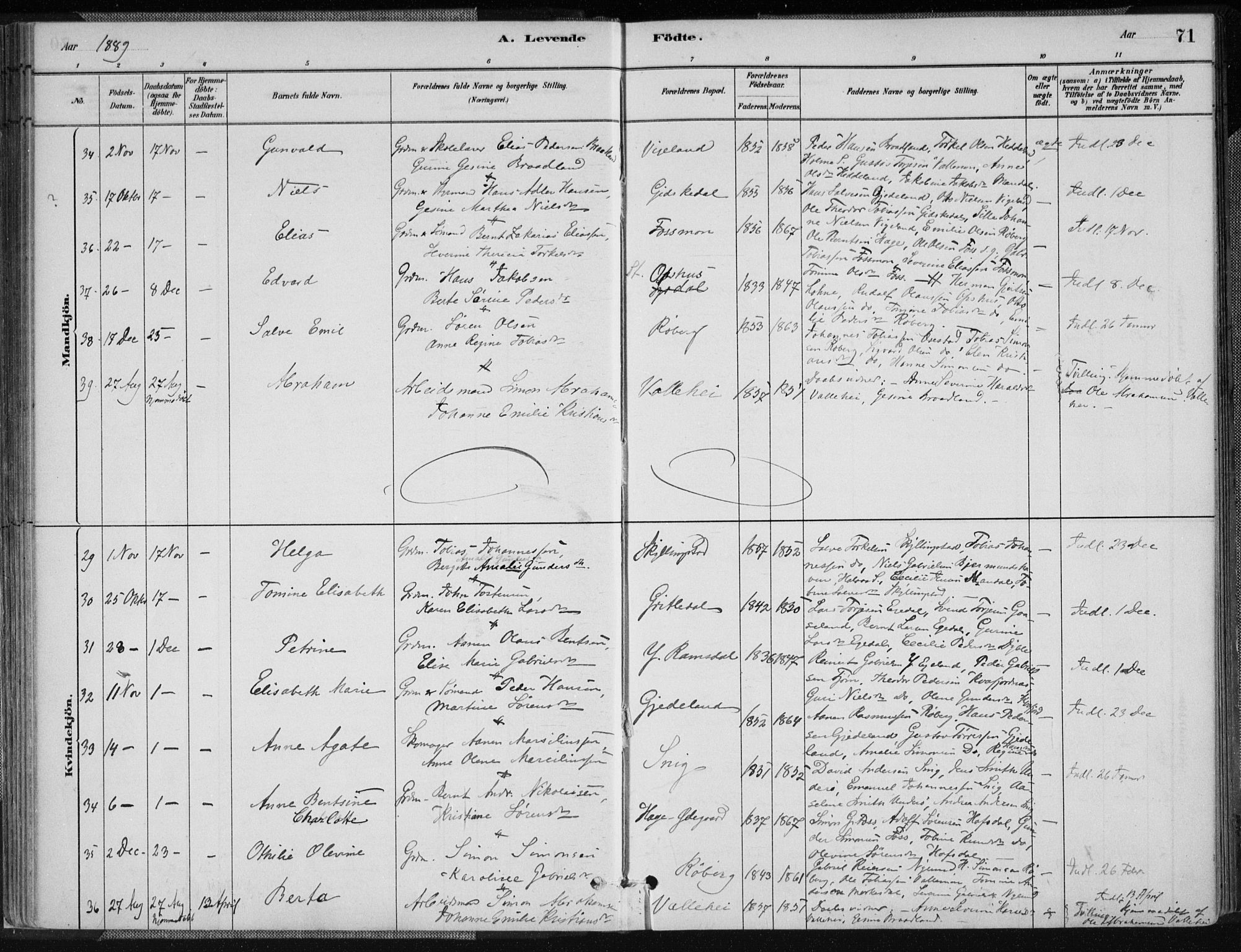 Sør-Audnedal sokneprestkontor, AV/SAK-1111-0039/F/Fa/Fab/L0009: Parish register (official) no. A 9, 1880-1895, p. 71