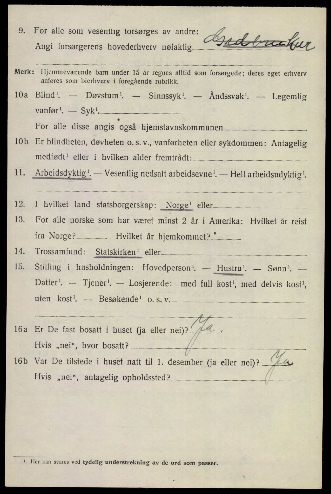 SAKO, 1920 census for Nes (Buskerud), 1920, p. 4333