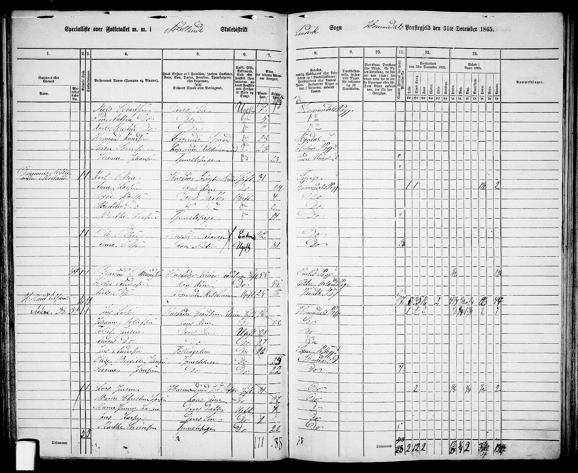 RA, 1865 census for Homedal, 1865, p. 69