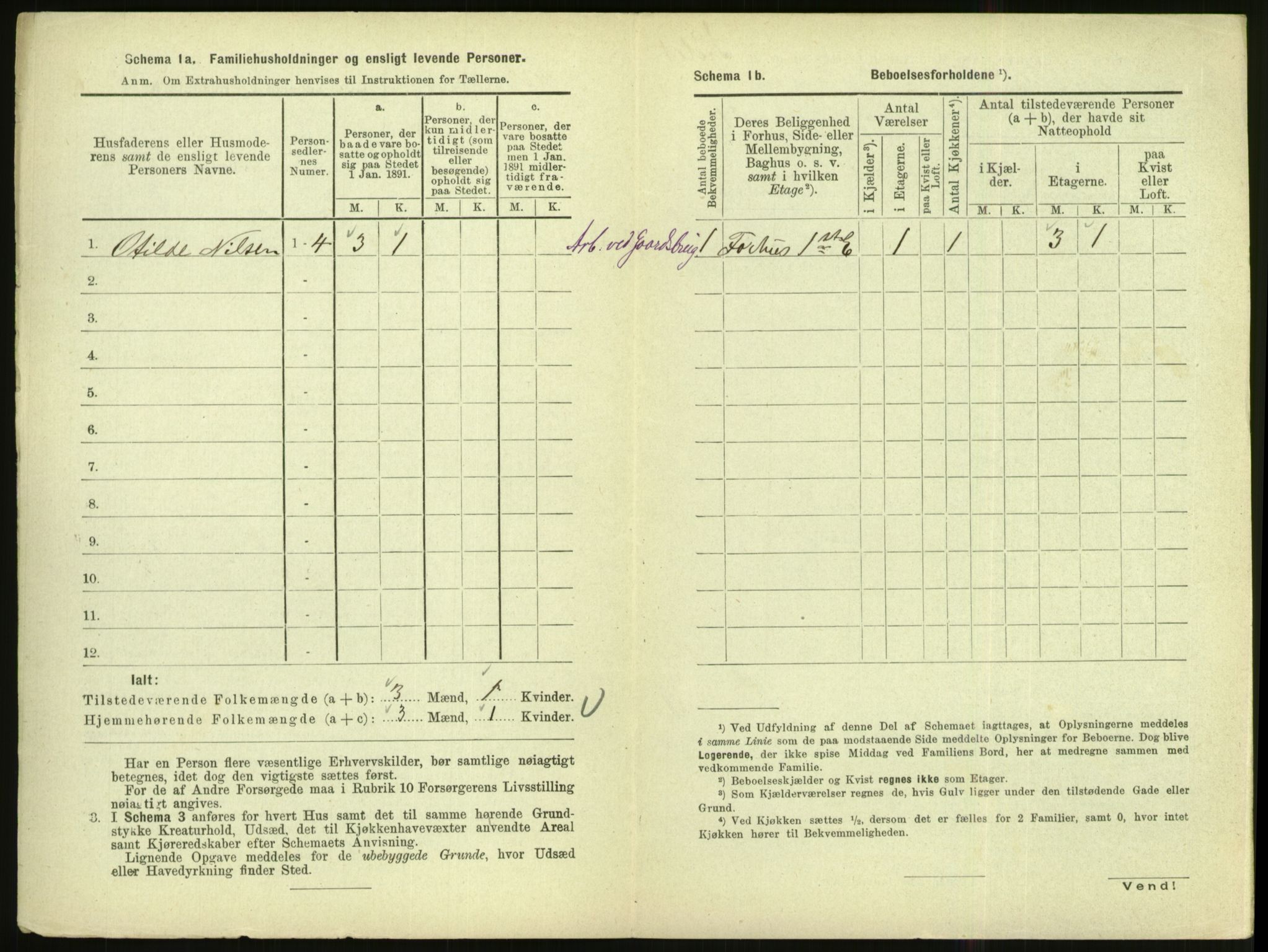 RA, 1891 census for 1002 Mandal, 1891, p. 206