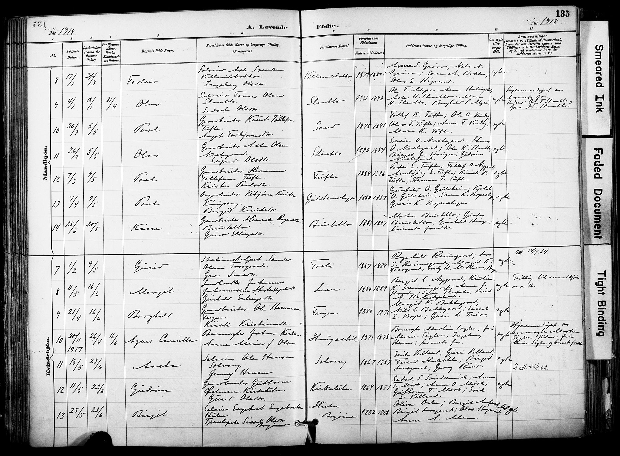 Hol kirkebøker, AV/SAKO-A-227/F/Fa/L0003: Parish register (official) no. I 3, 1887-1918, p. 135