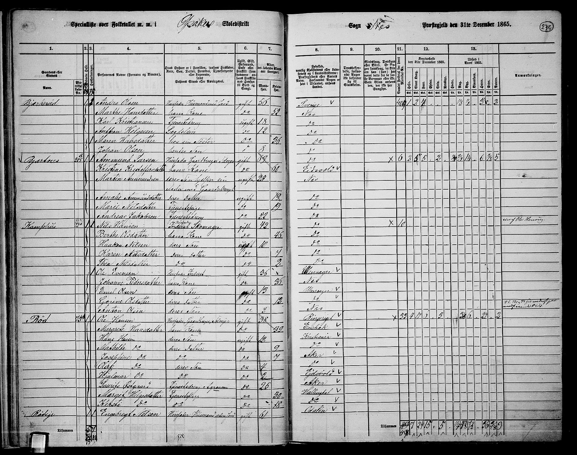 RA, 1865 census for Nes, 1865, p. 218