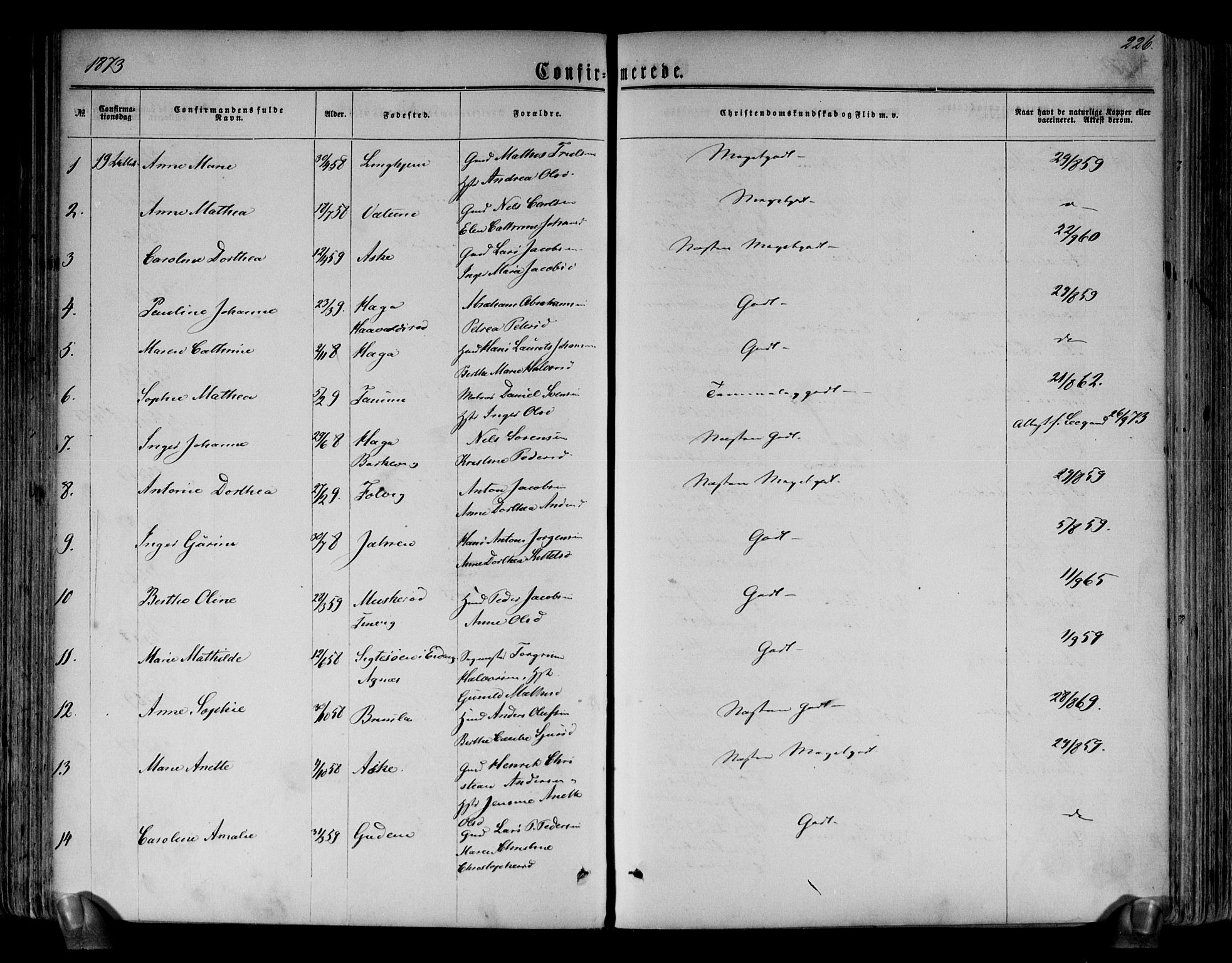 Brunlanes kirkebøker, AV/SAKO-A-342/F/Fa/L0005: Parish register (official) no. I 5, 1862-1877, p. 226