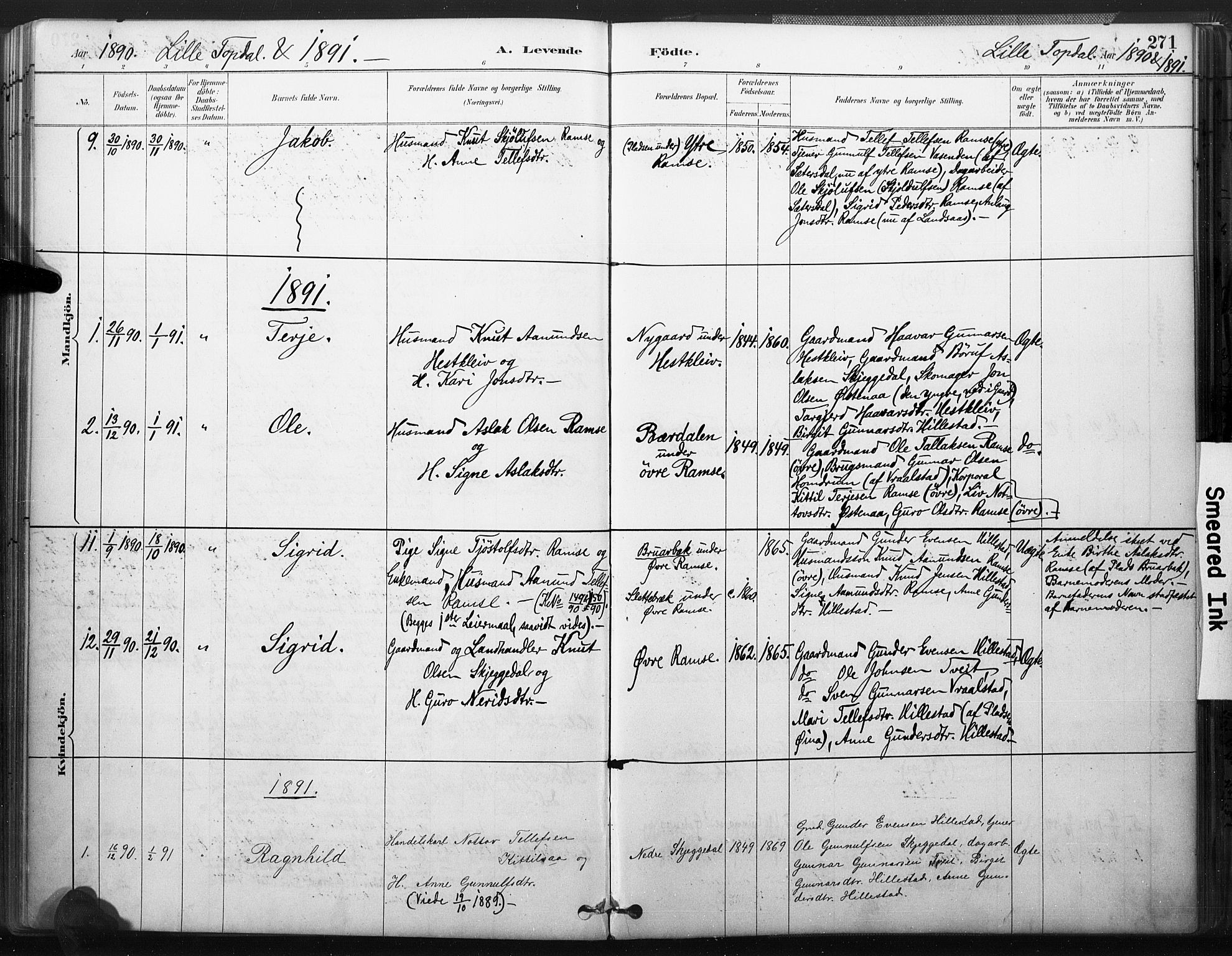 Åmli sokneprestkontor, SAK/1111-0050/F/Fa/Fac/L0010: Parish register (official) no. A 10 /3, 1885-1899, p. 271