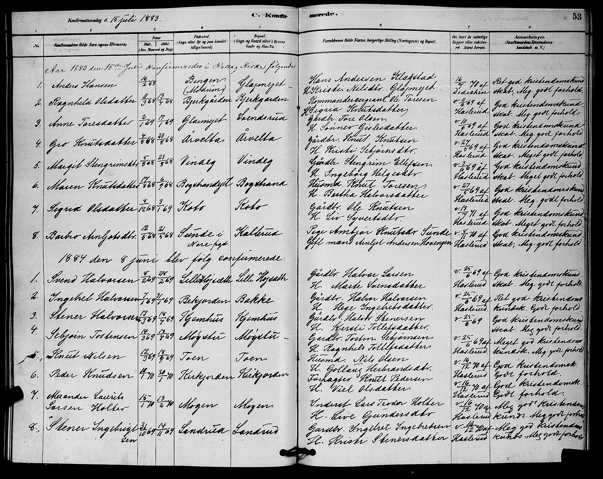 Rollag kirkebøker, SAKO/A-240/G/Gb/L0002: Parish register (copy) no. II 2, 1878-1898, p. 53
