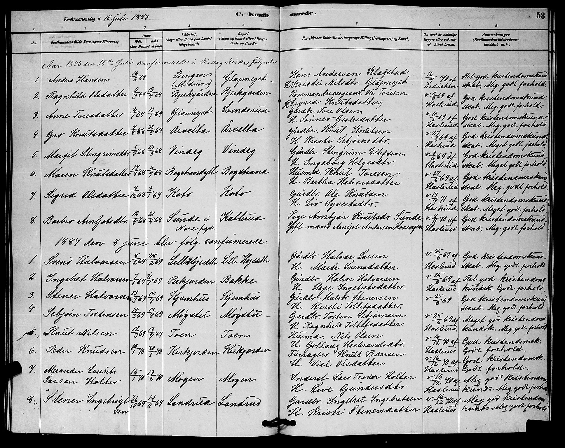 Rollag kirkebøker, AV/SAKO-A-240/G/Gb/L0002: Parish register (copy) no. II 2, 1878-1898, p. 53